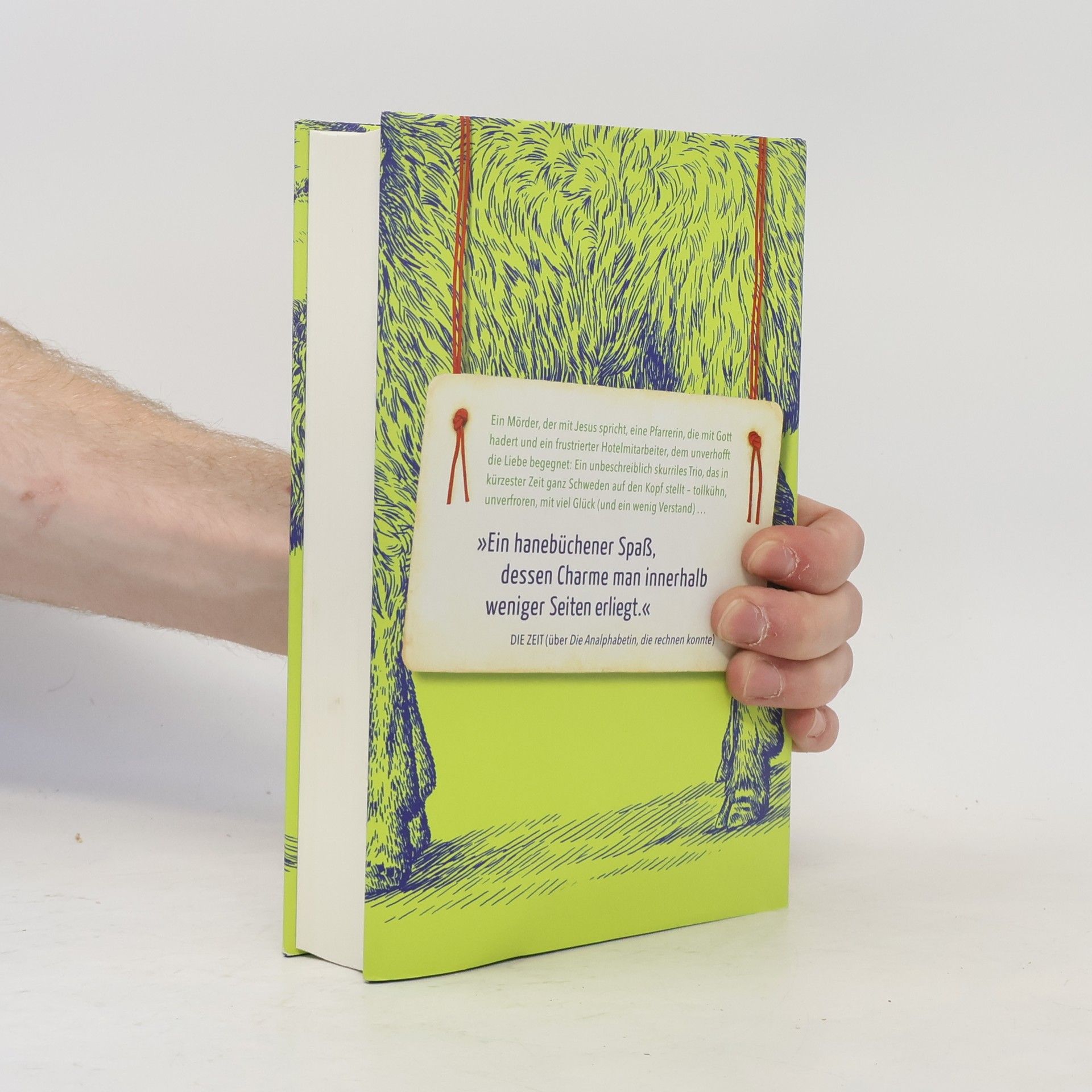Jonas Jonasson Mörder Anders und seine Freunde nebst dem einen oder anderen Feind