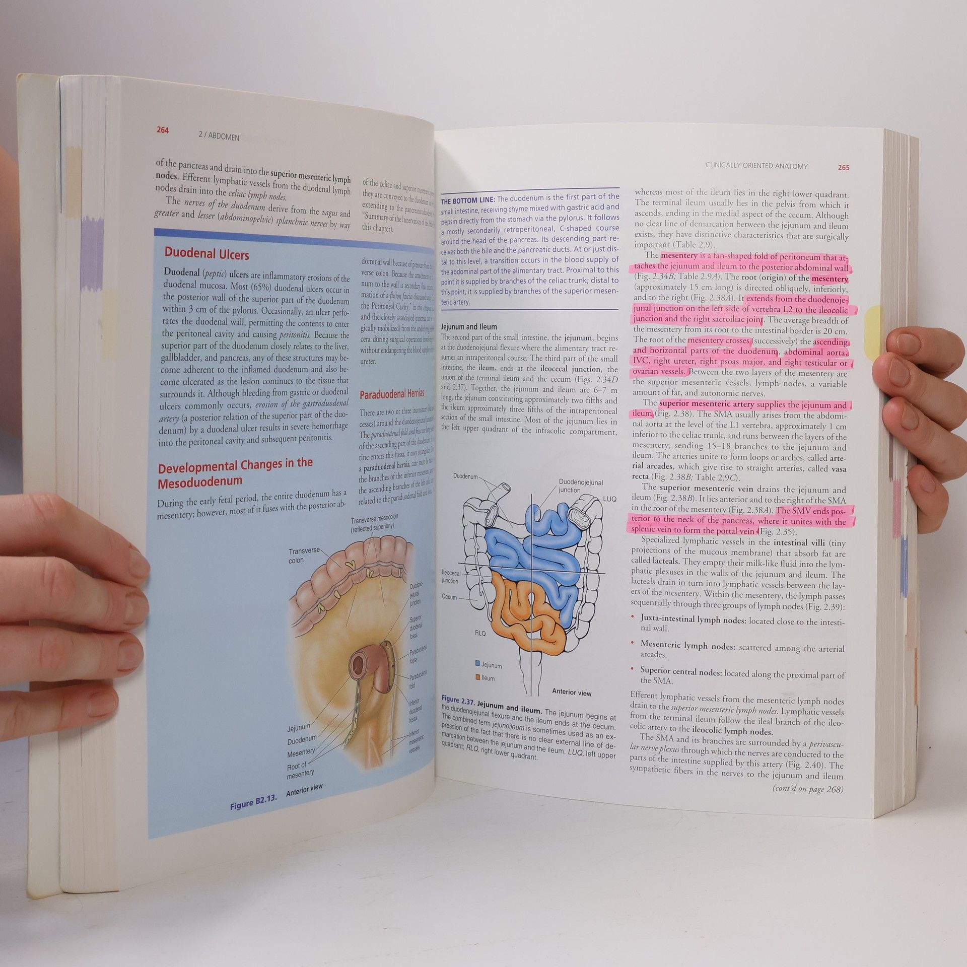 Keith L Moore Clinically Oriented Anatomy