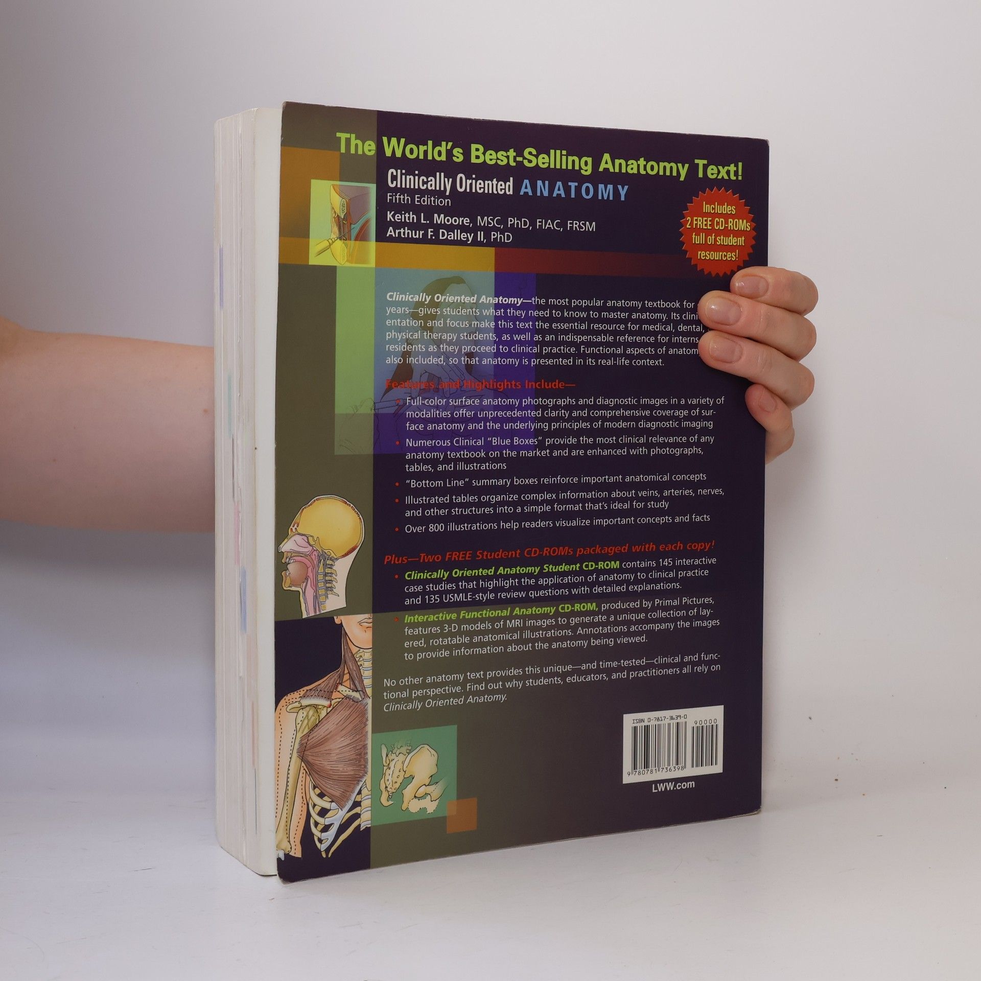 Keith L Moore Clinically Oriented Anatomy