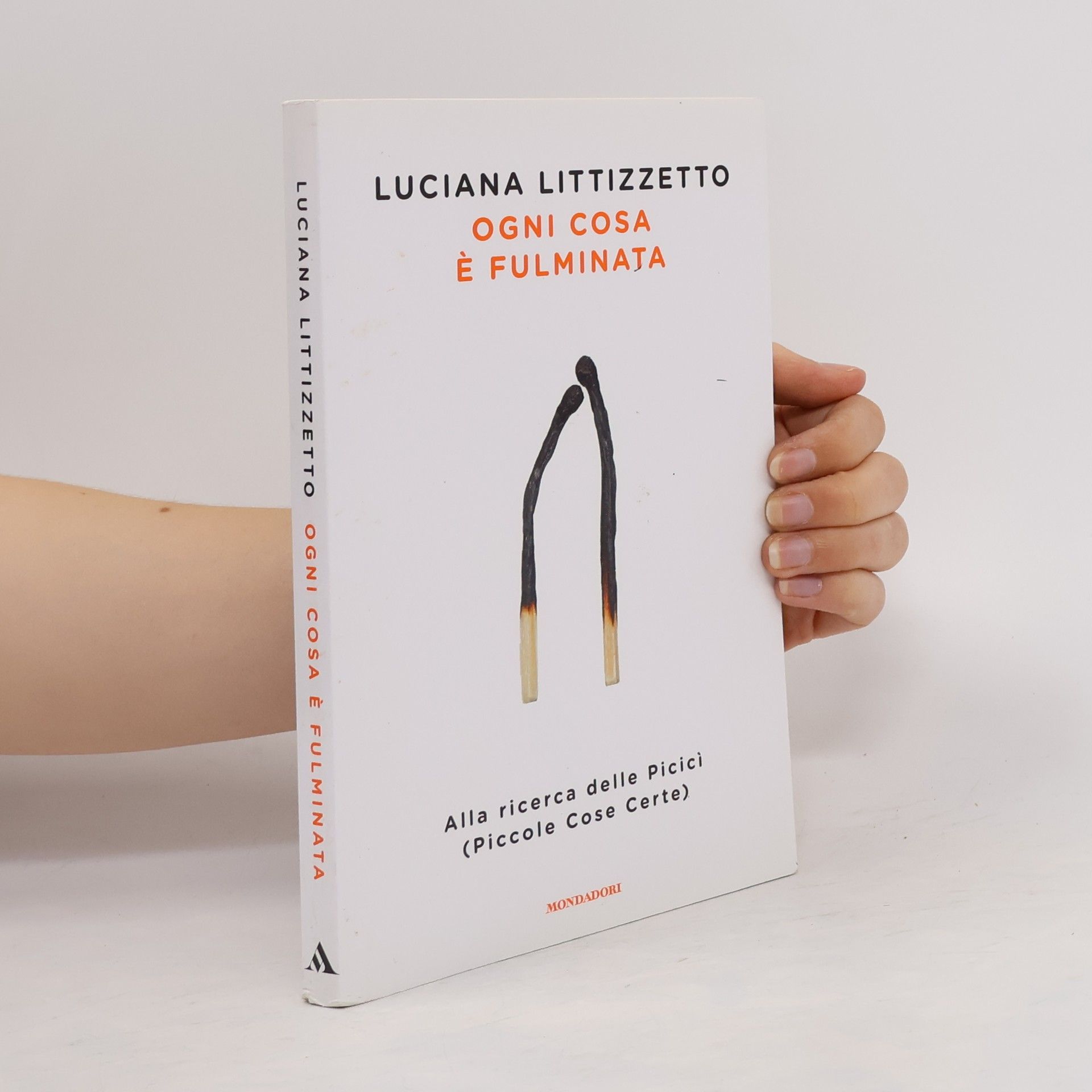 Luciana Littizzetto Ogni cosa è fulminata