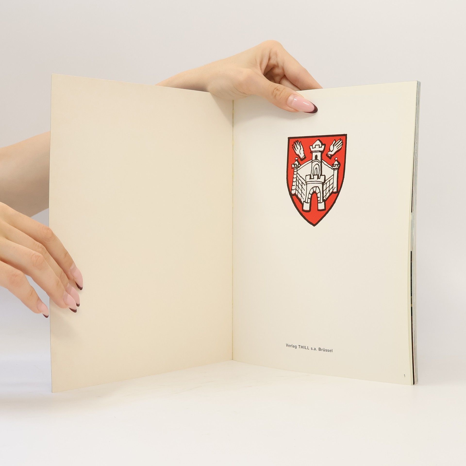 Autorenkollektiv Antwerpen und ihre Schönheiten