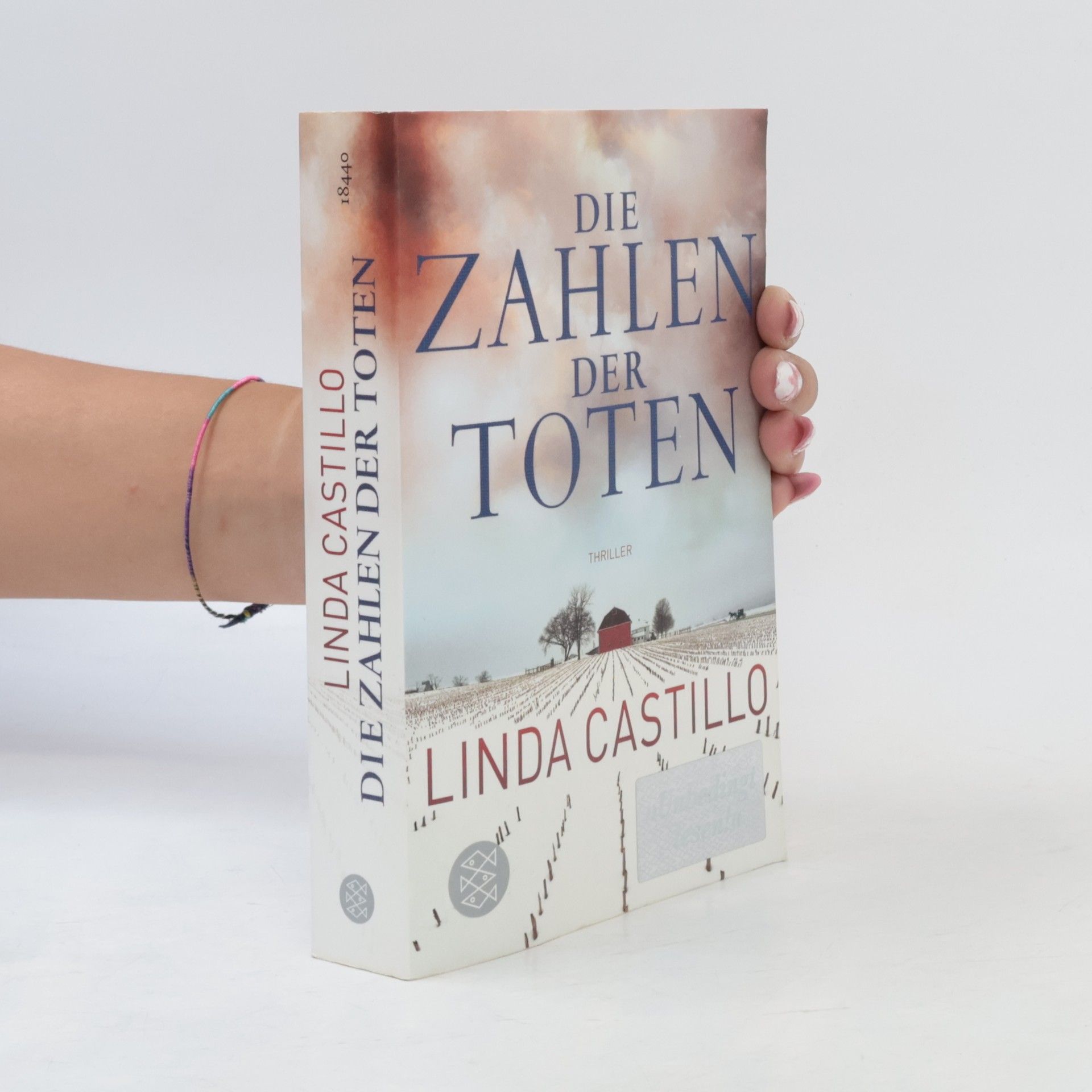 Linda Castillo Die Zahlen der Toten