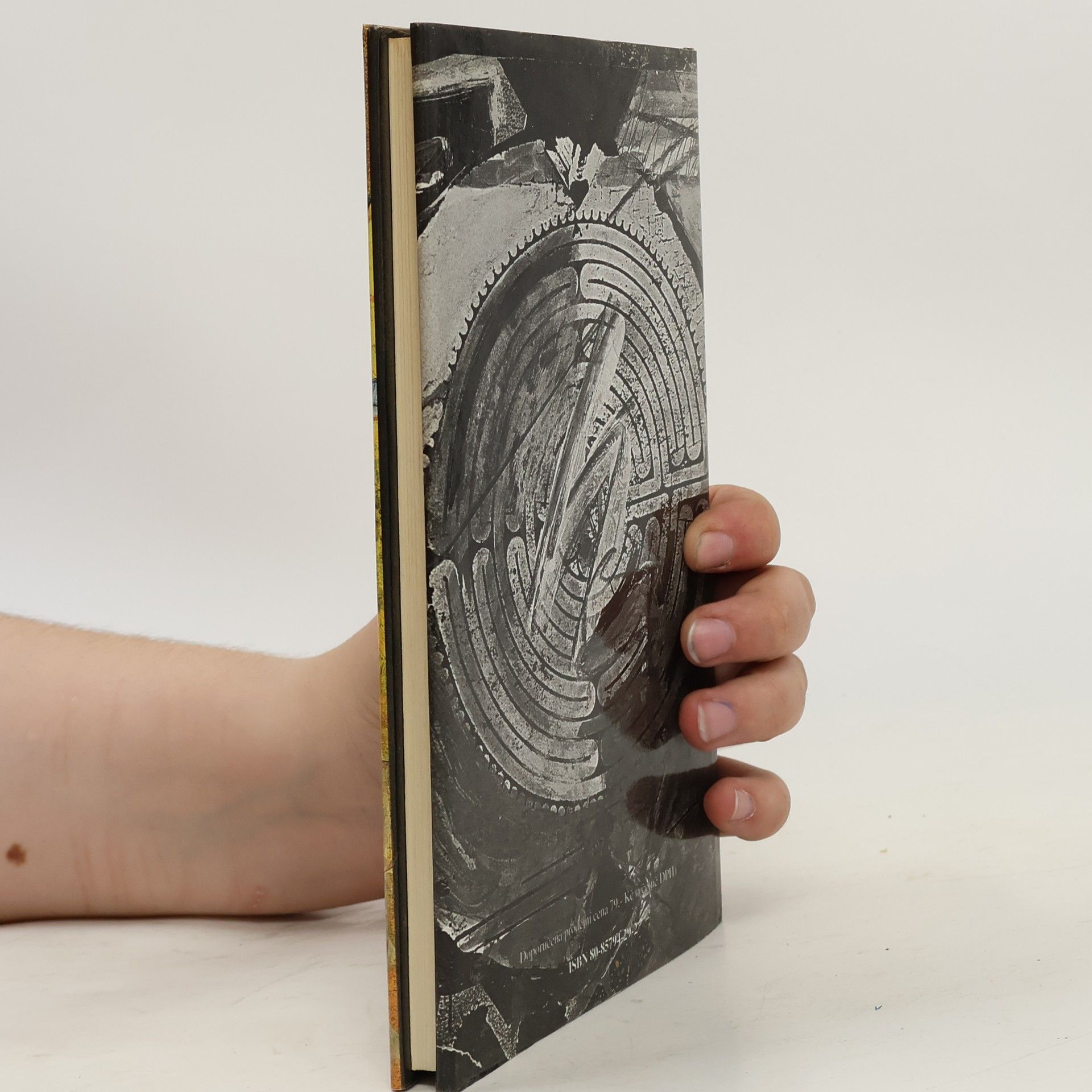 John Kennedy Toole Neónová bible