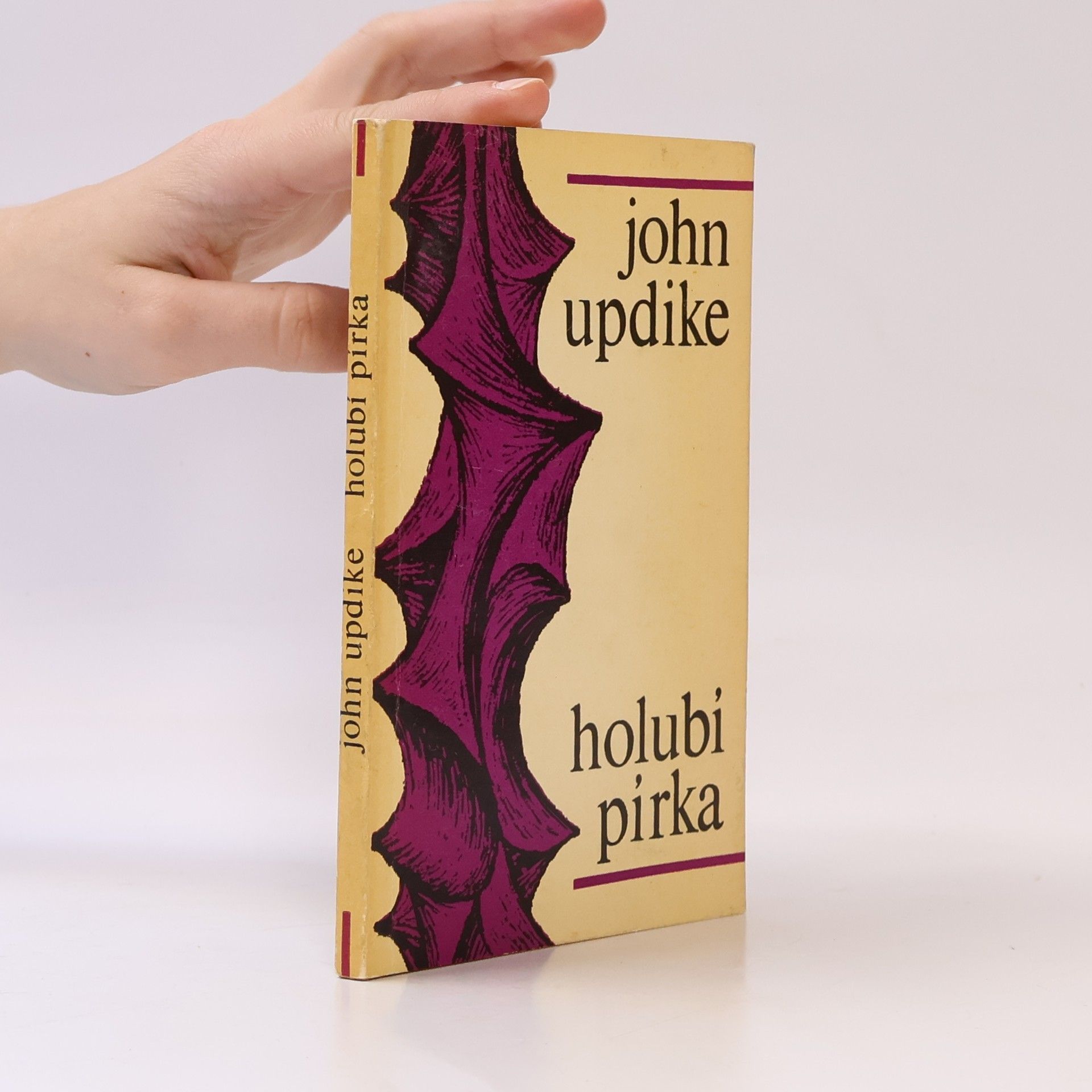 John Updike Holubí pírka