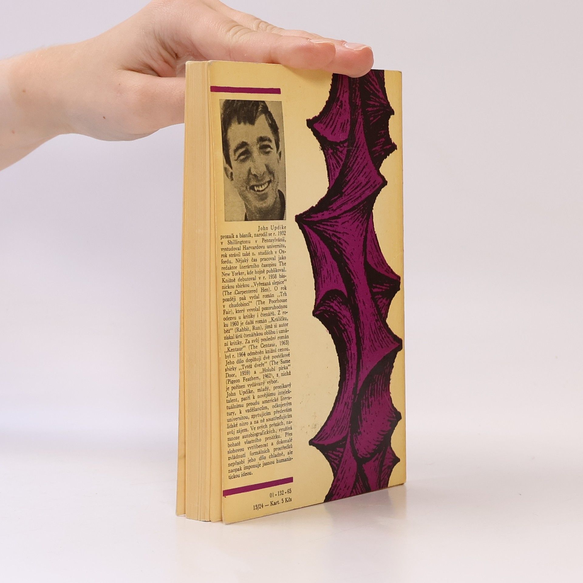 John Updike Holubí pírka