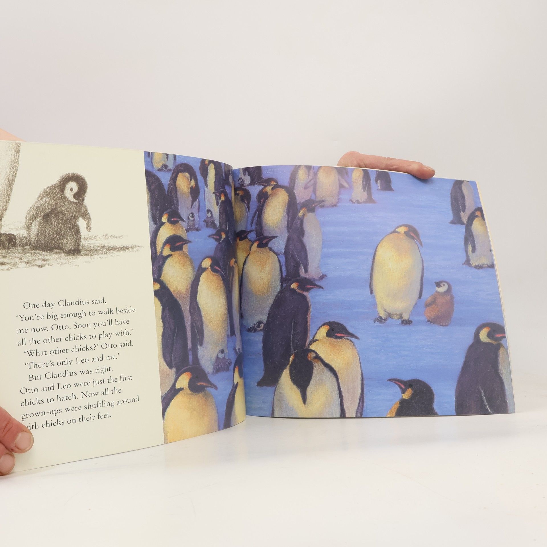 Jill Tomlinson The penguin who wanted to find out