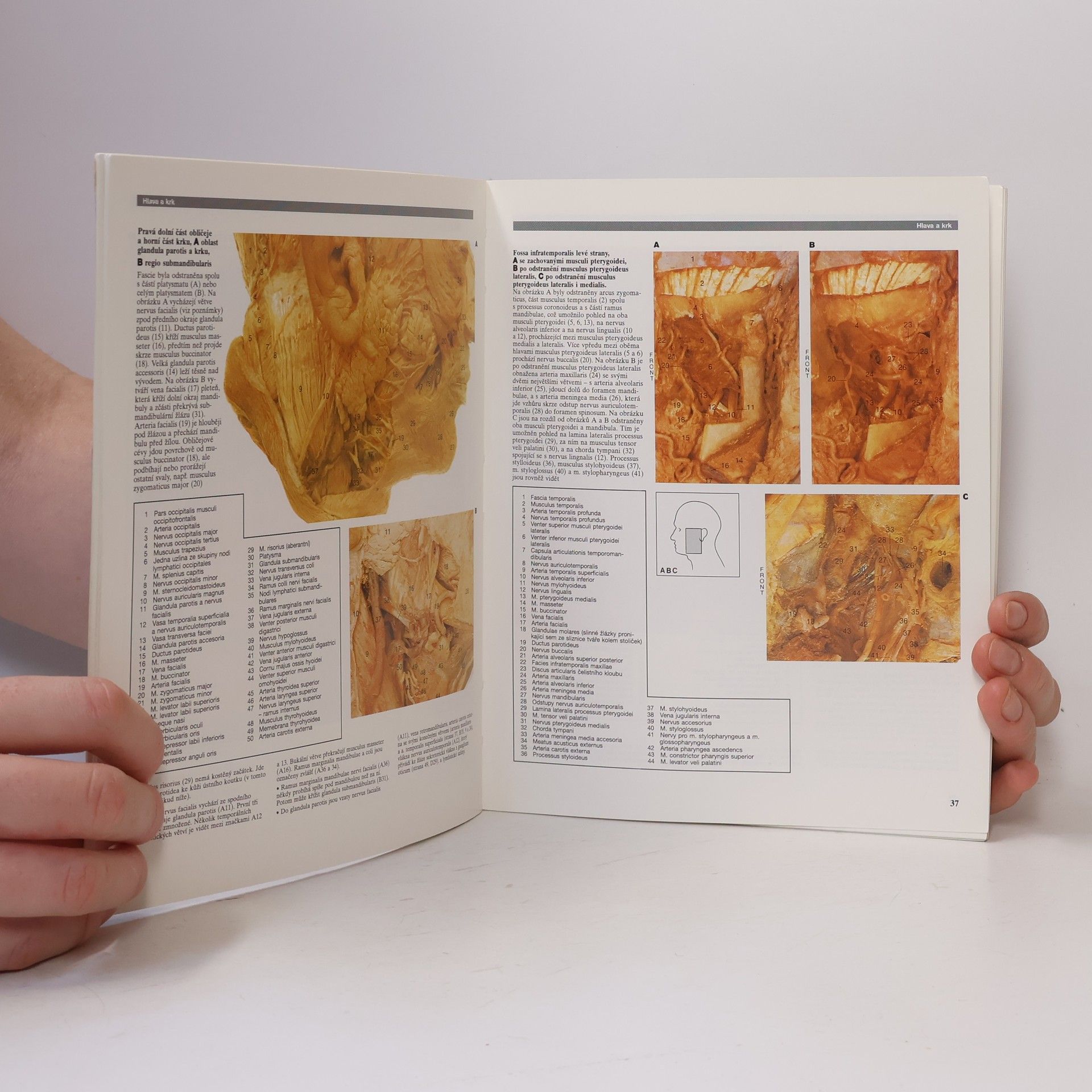 R. M. H. Robert Matthew Hay McMinn Barevný atlas anatomie člověka