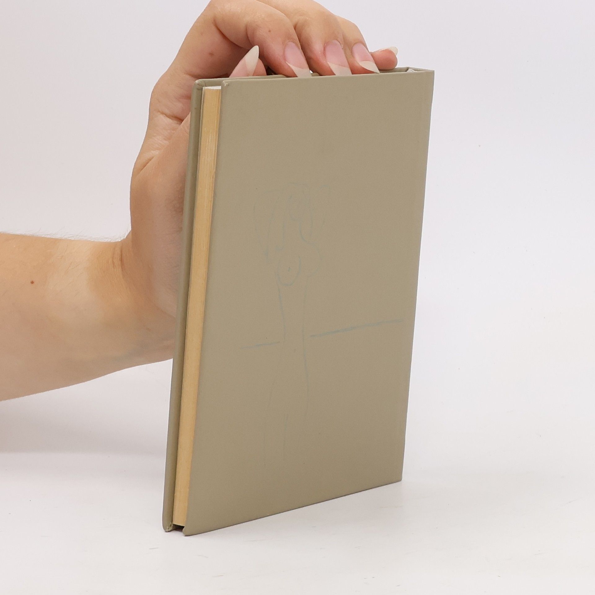 Autorenkollektiv Denken mit Picasso