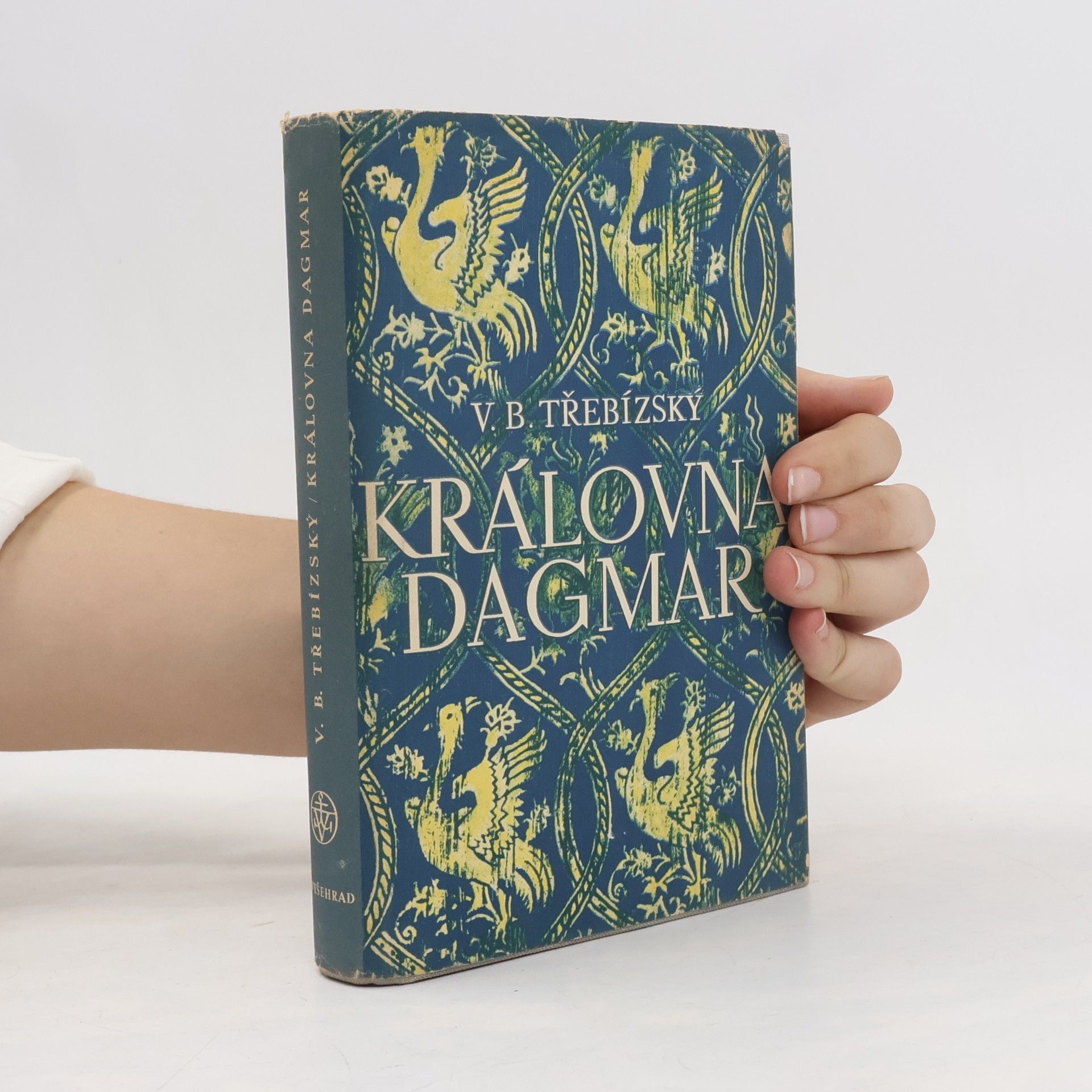 Václav Beneš Třebízský Královna Dagmar