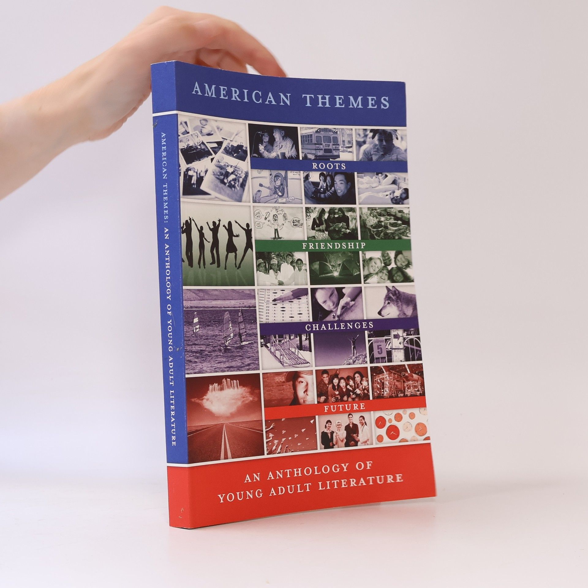 Autores varios American Themes : An Anthology of Young Adult Literature