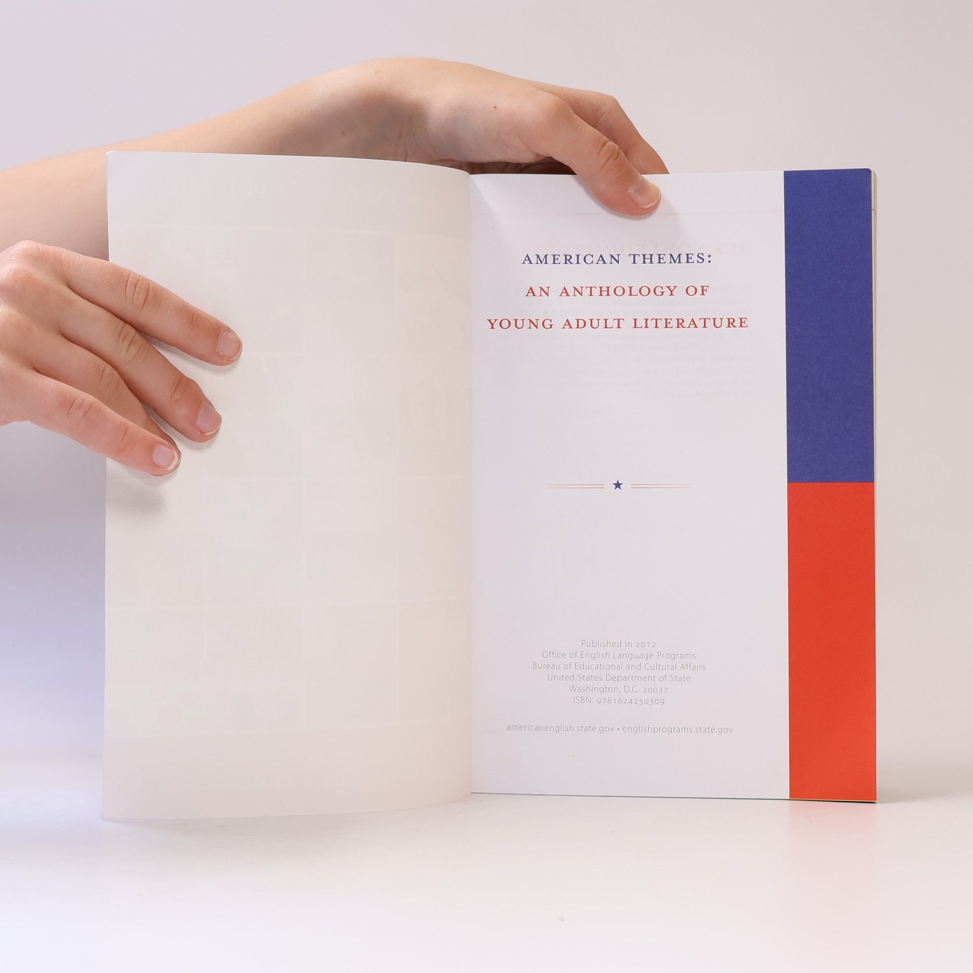 AA.VV. American Themes : An Anthology of Young Adult Literature