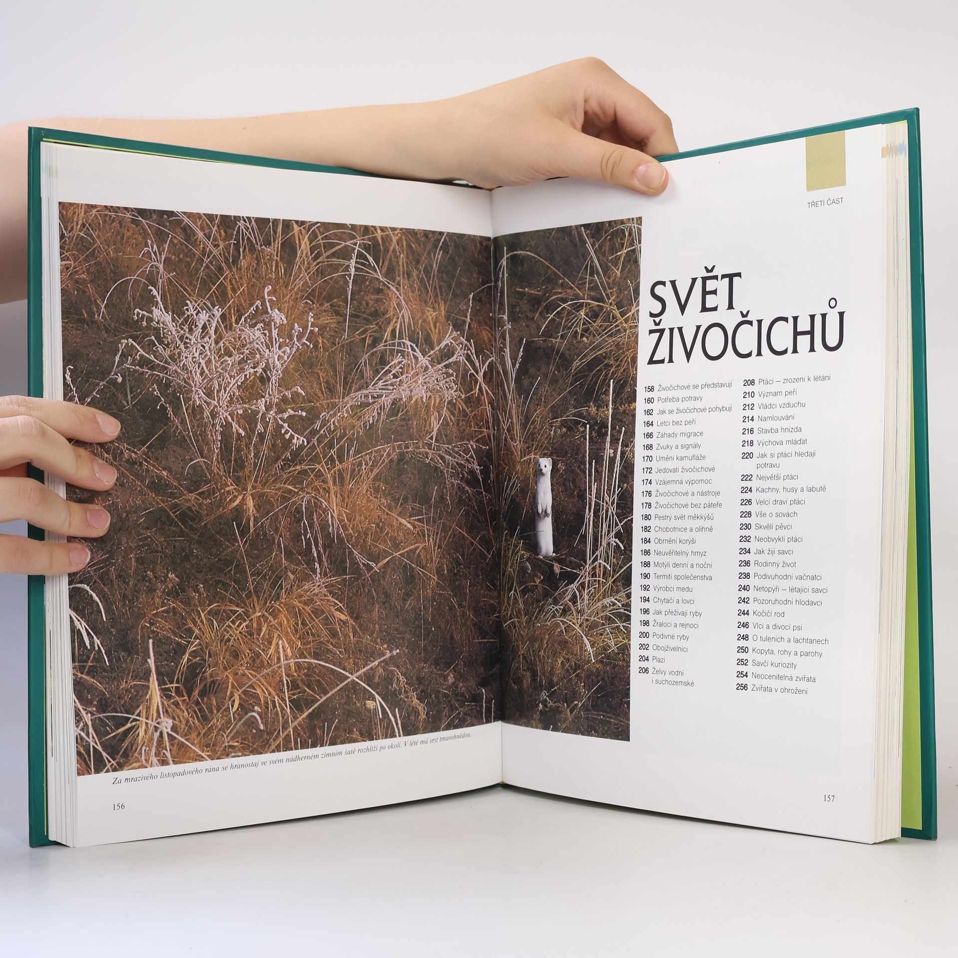 Autorenkollektiv ABC přírody. Svět v otázkách a odpovědích