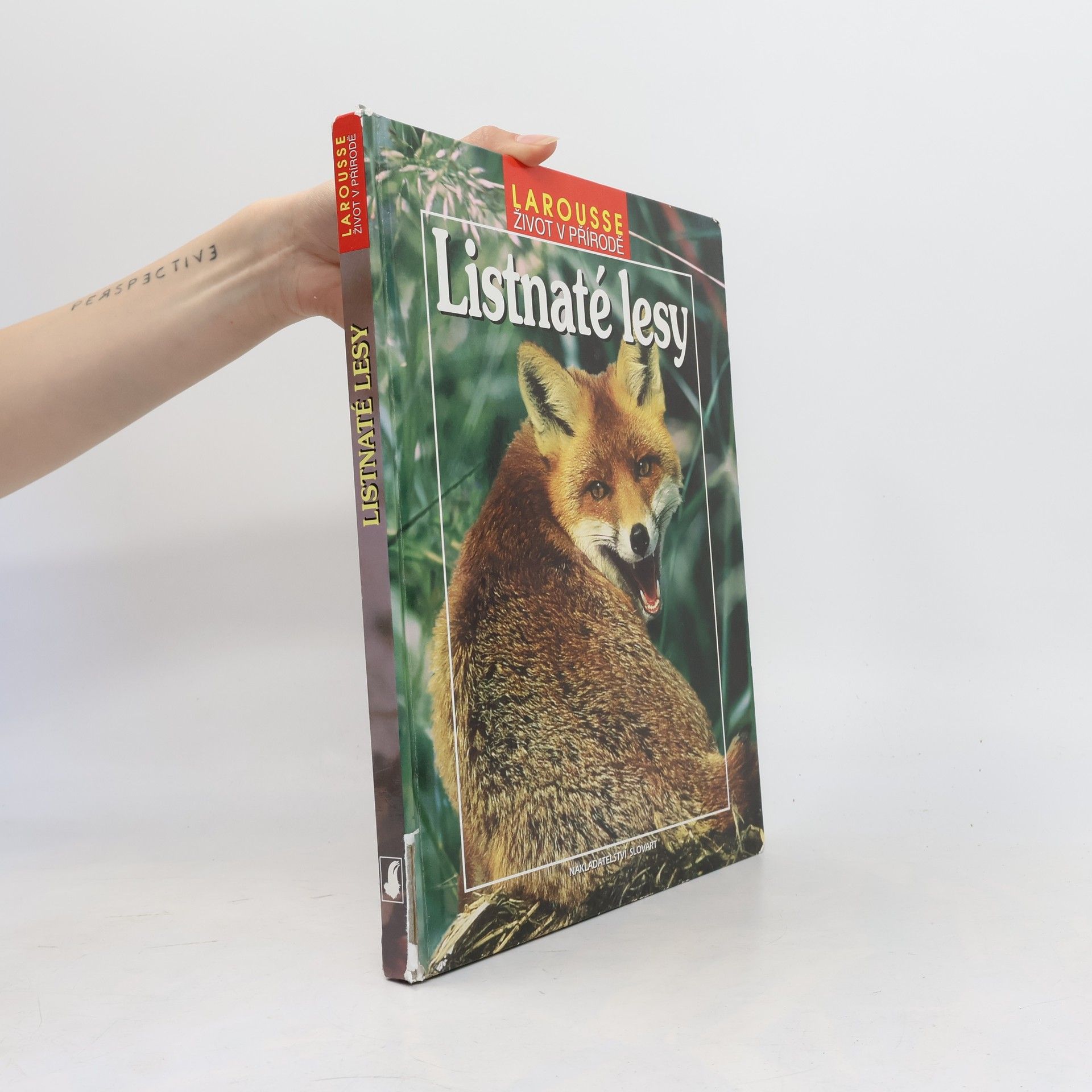 Autores varios Listnaté lesy