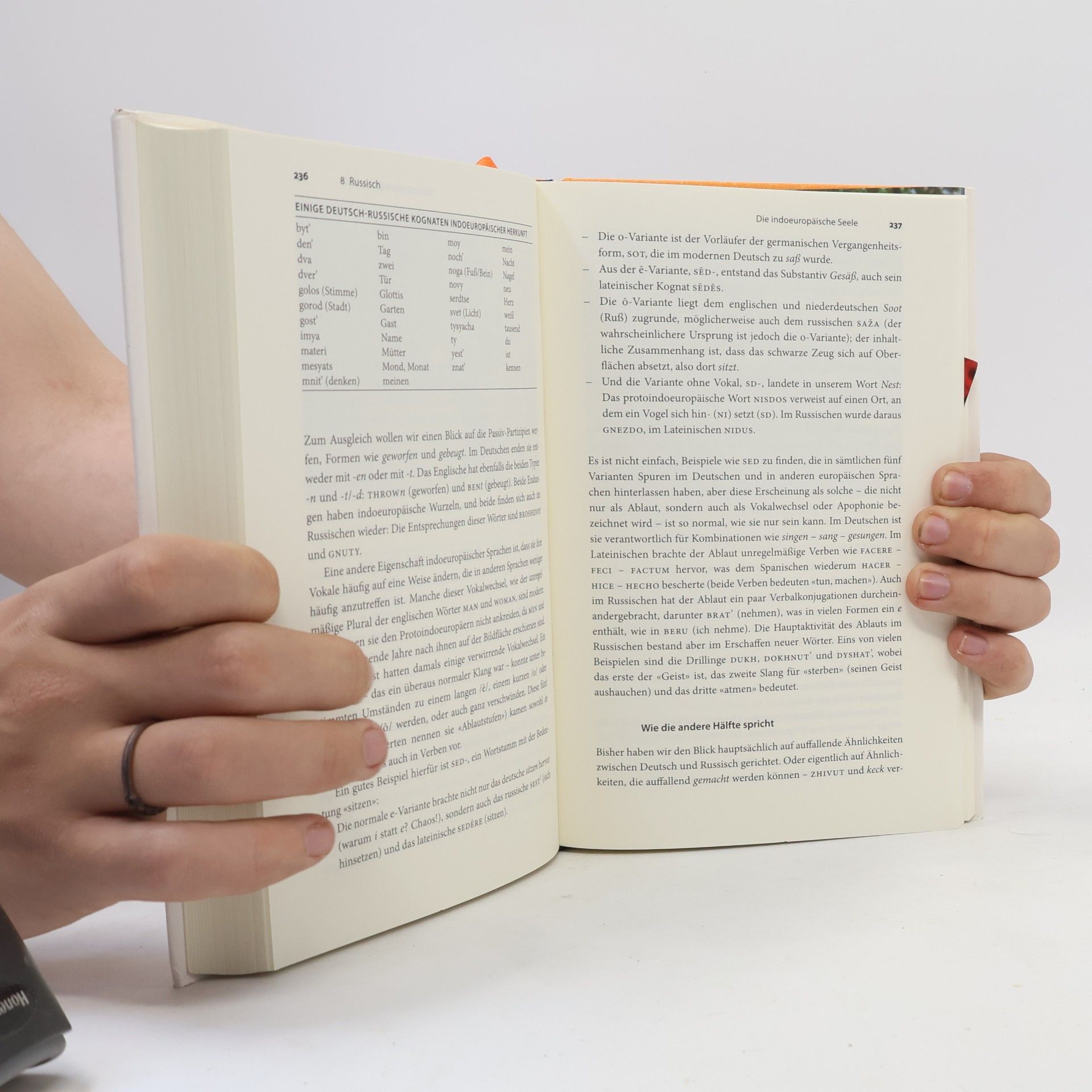 Gaston Dorren In 20 Sprachen um die Welt