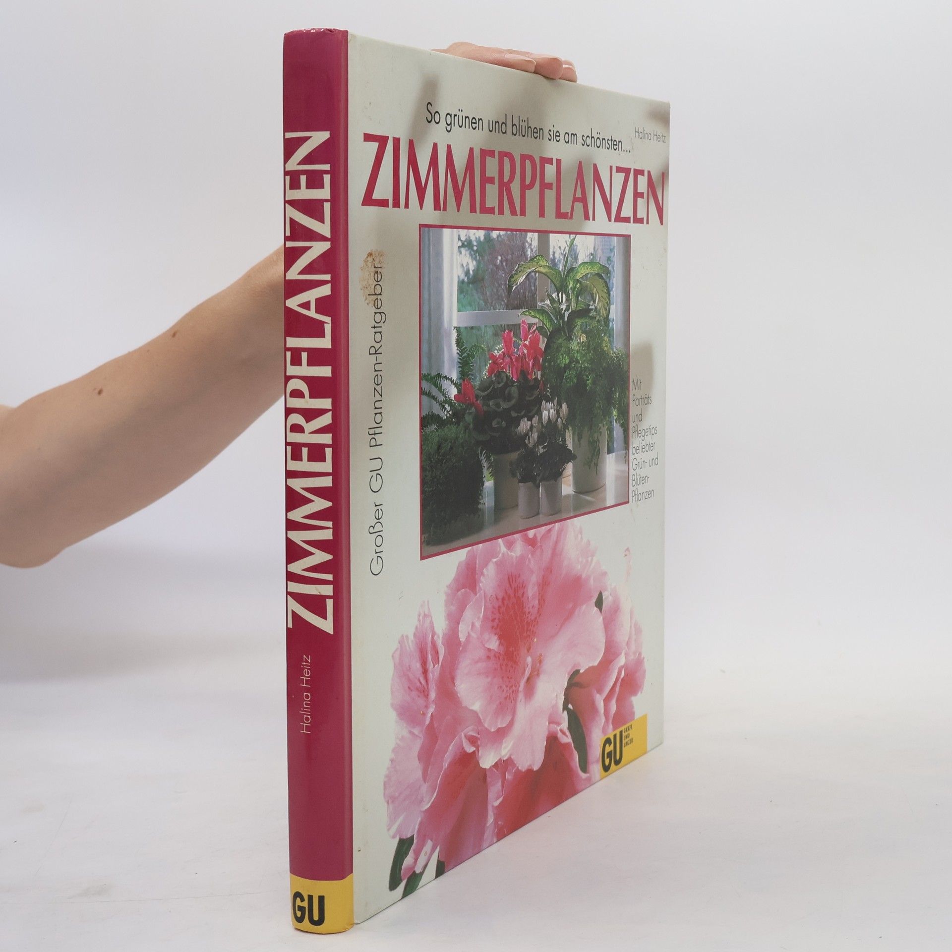 Halina Heitz Zimmerpflanzen