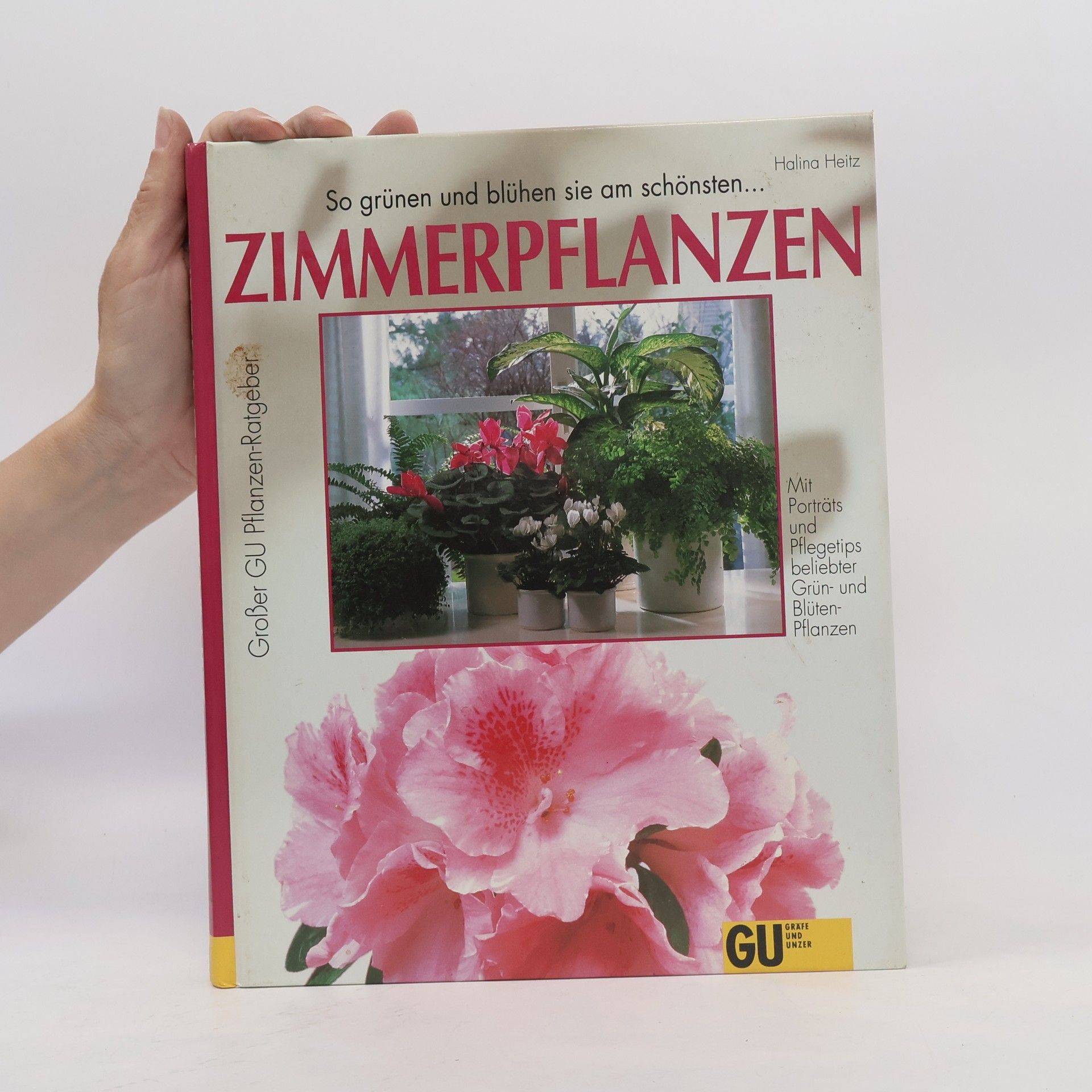 Halina Heitz Zimmerpflanzen