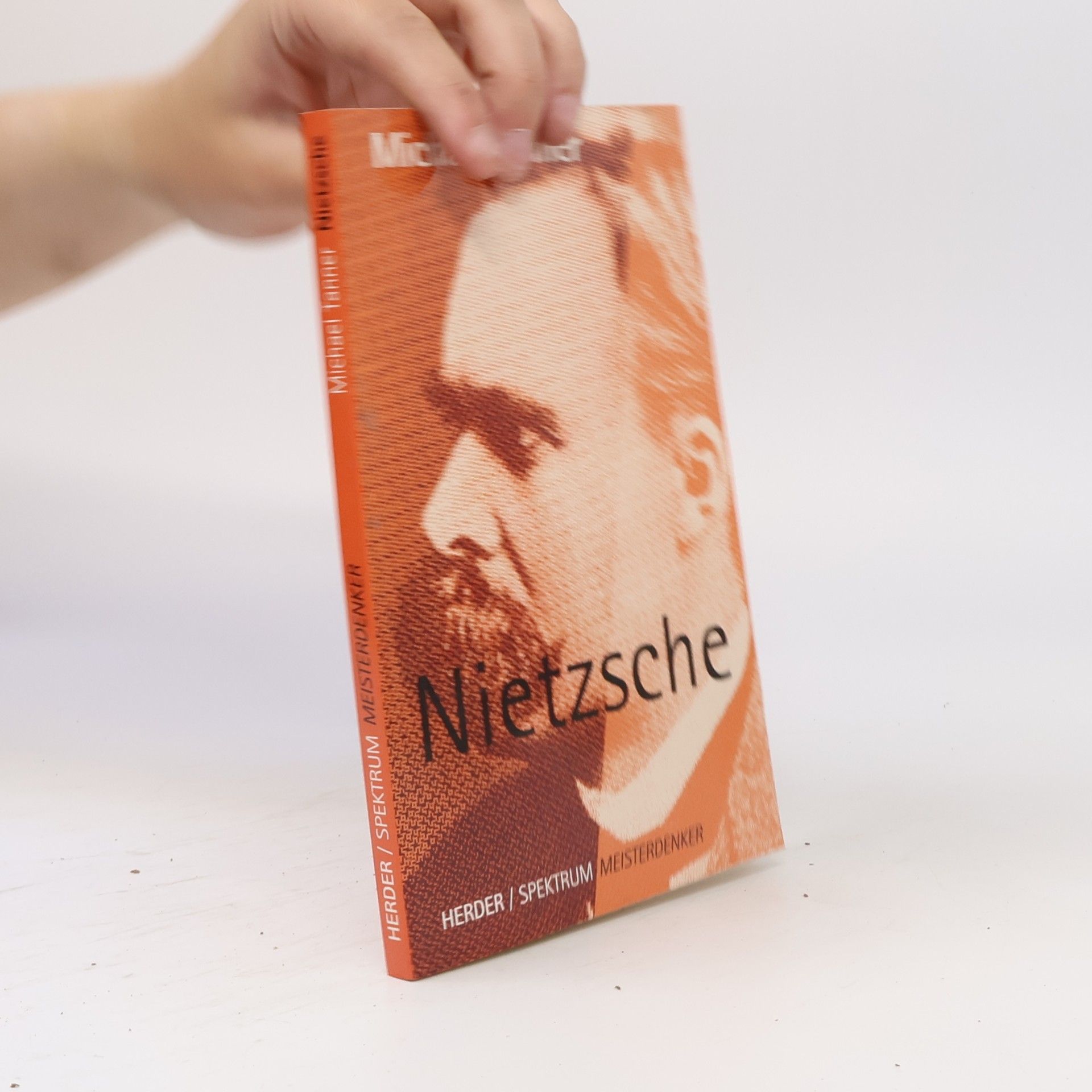 Michael Tanner Nietzsche