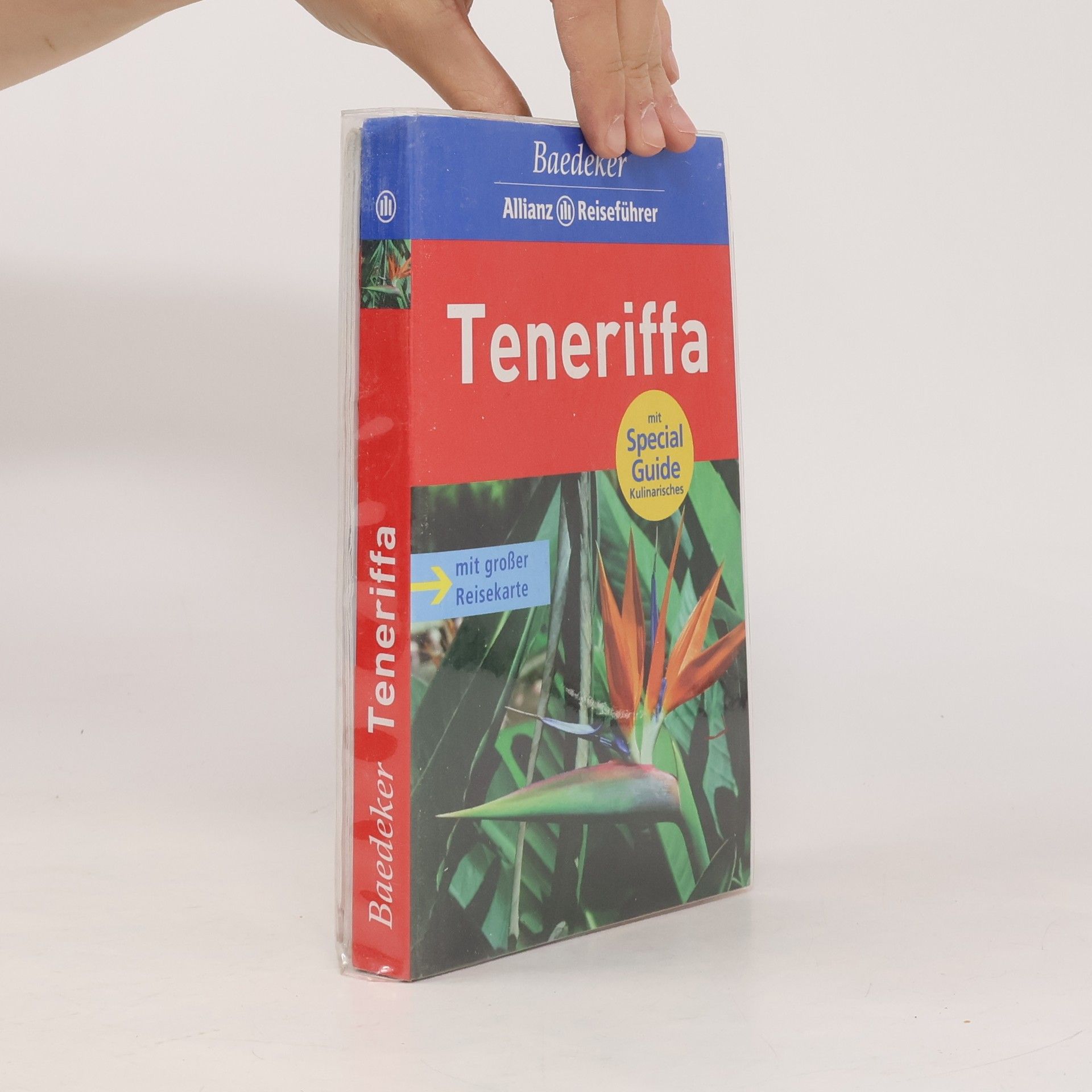 Achim Bourmer Teneriffa