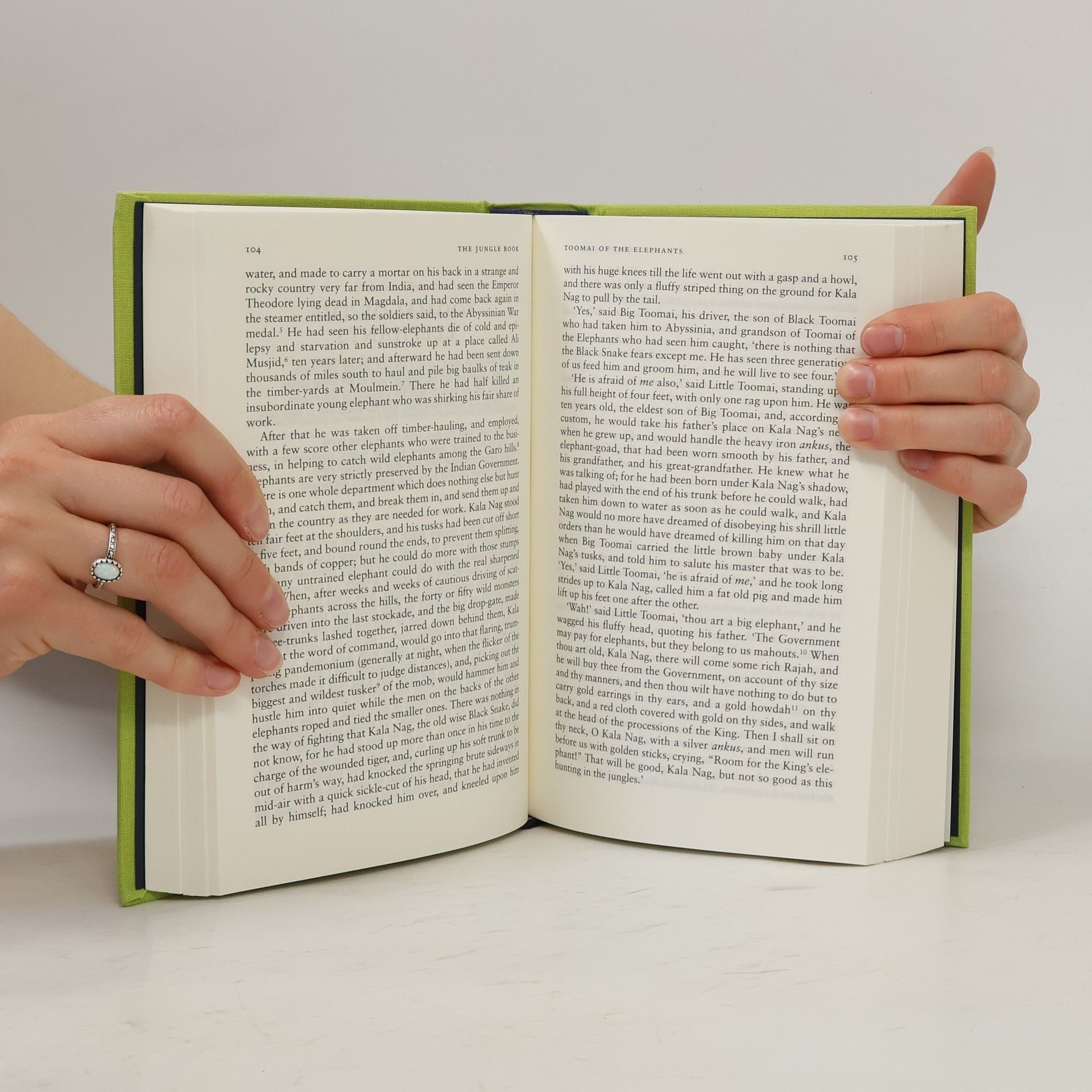 Rudyard Kipling The Jungle Books. Das Dschungelbuch, englische Ausgabe