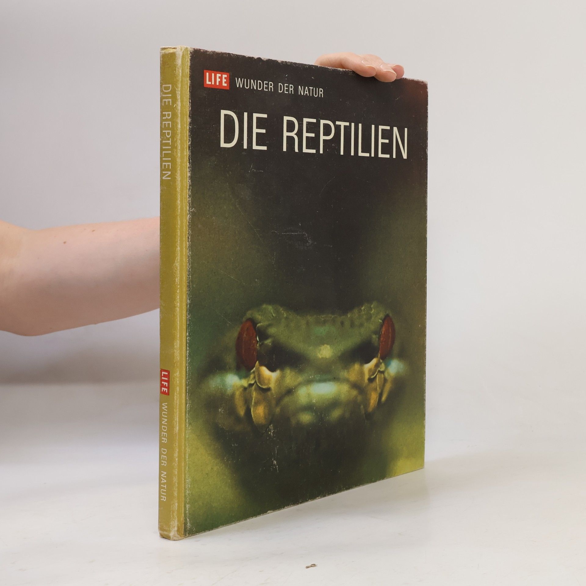 Autorenkollektiv Die Reptilien