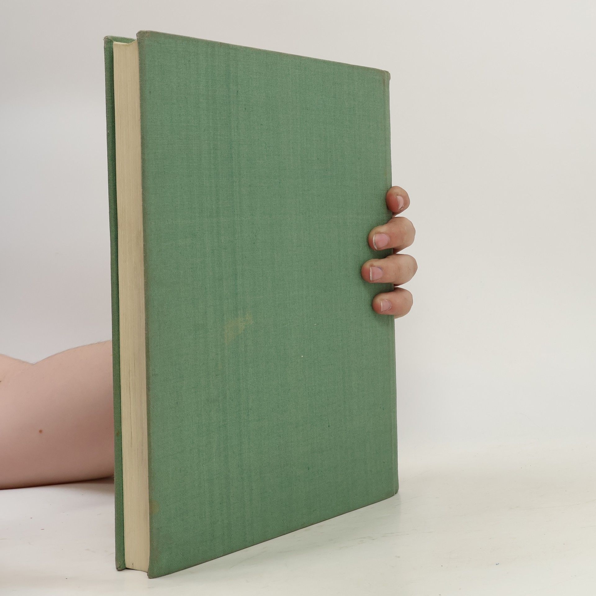 Various authors Das Dresdener Galeriebuch