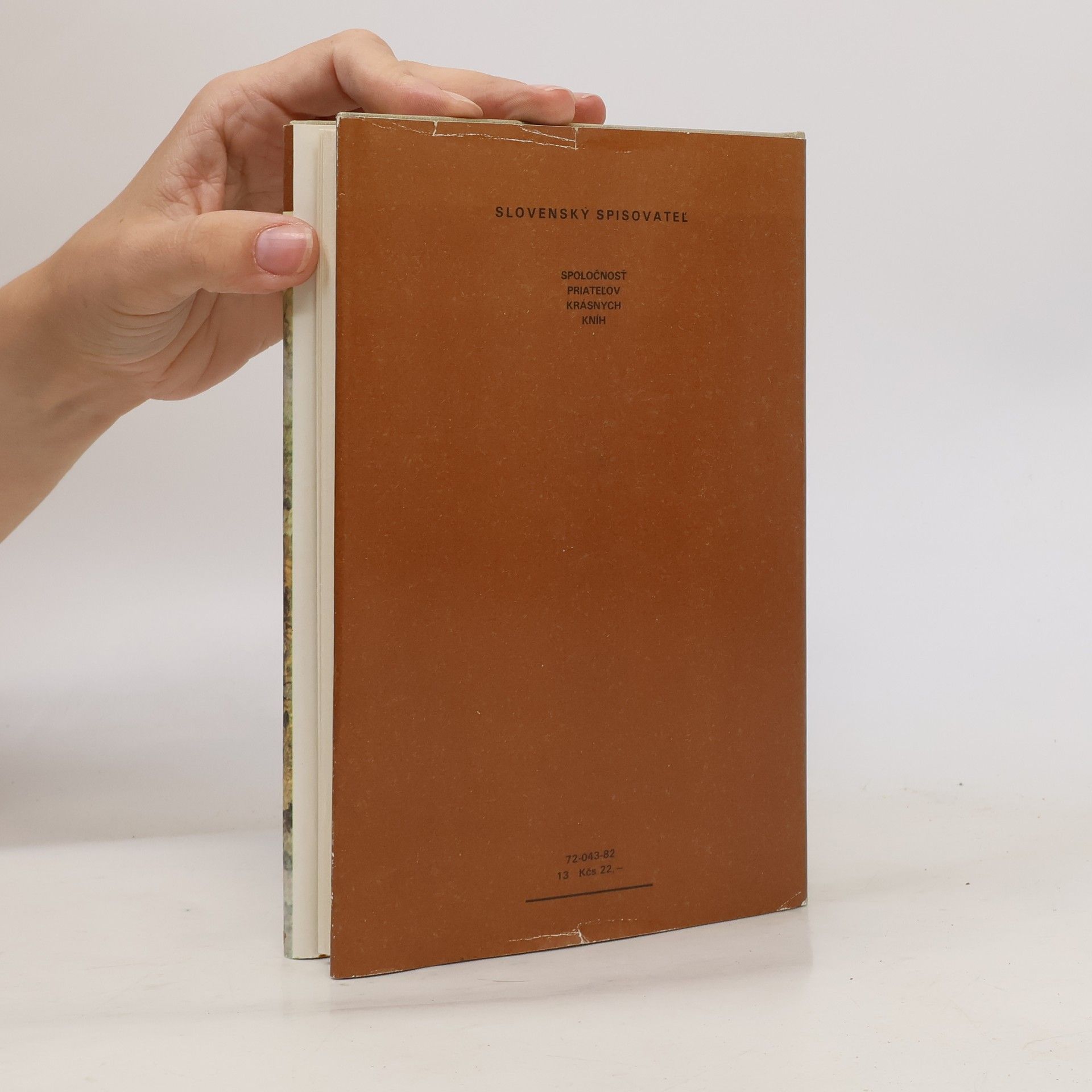 Nathanael West Slečna Dušehojivá