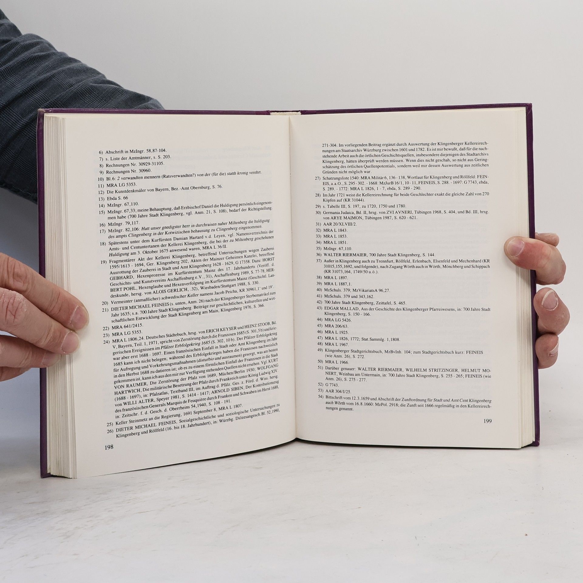 Autorenkollektiv Chronik der Stadt Klingenberg am Main