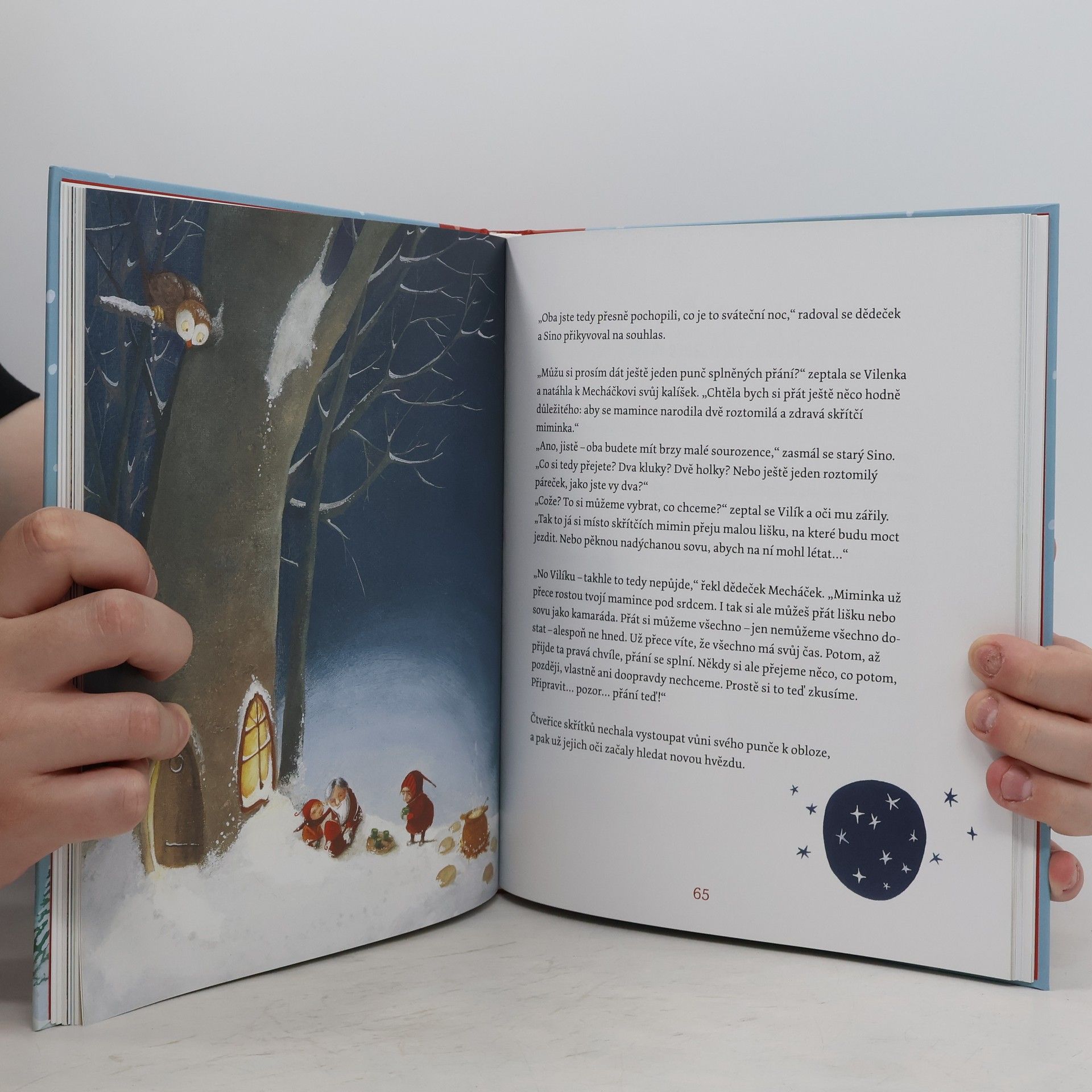 Brigitte Weninger Příběhy z vánočního lesa : 24 adventních příběhů
