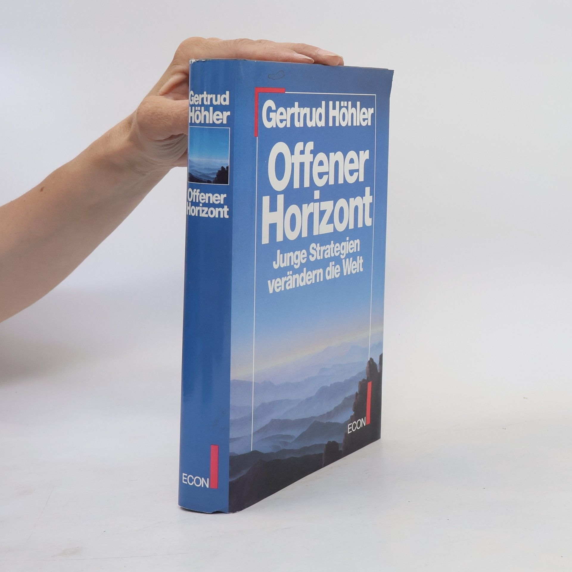 Gertrud Höhler Offener Horizont