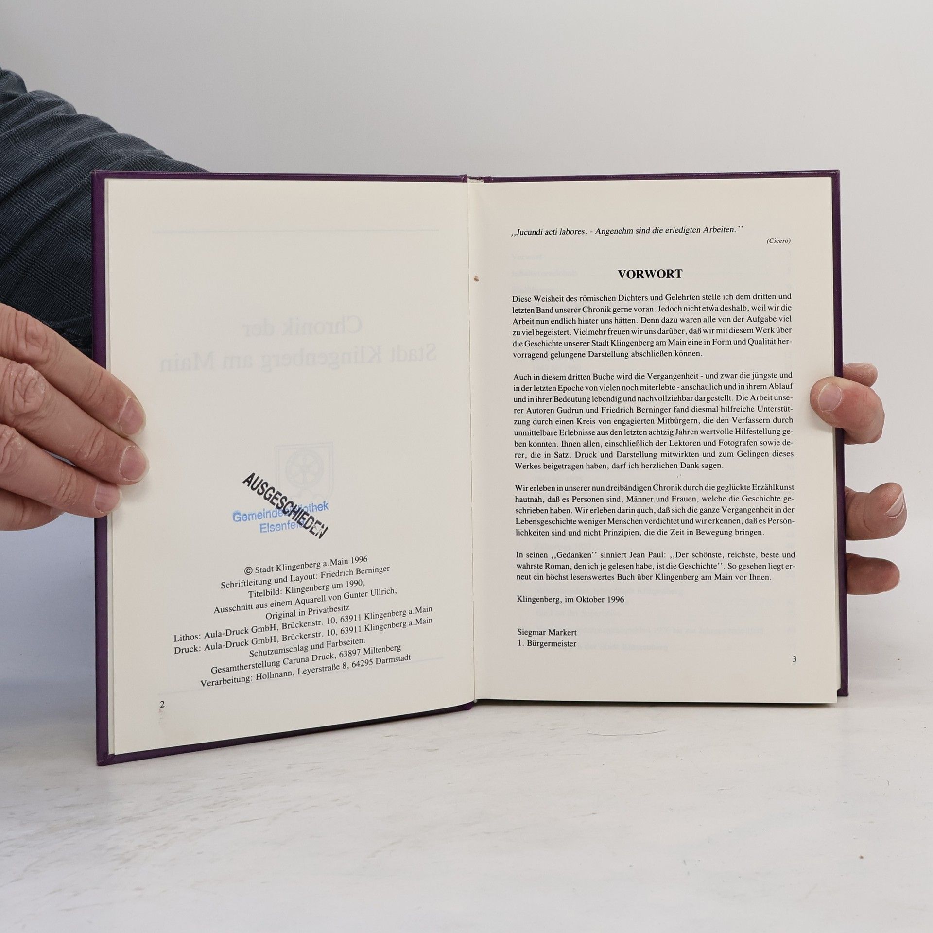 Auteurscollectief Chronik der Stadt Klingenberg am Main III.