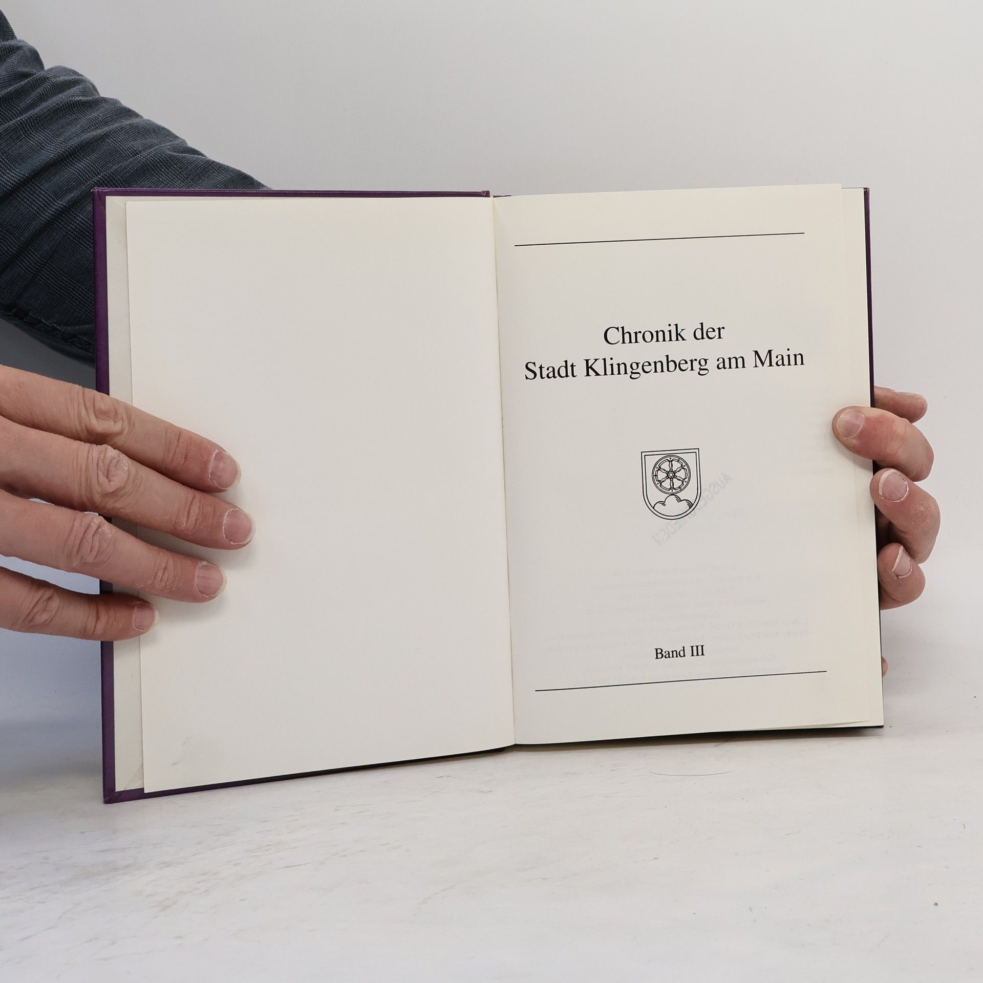 Auteurscollectief Chronik der Stadt Klingenberg am Main III.