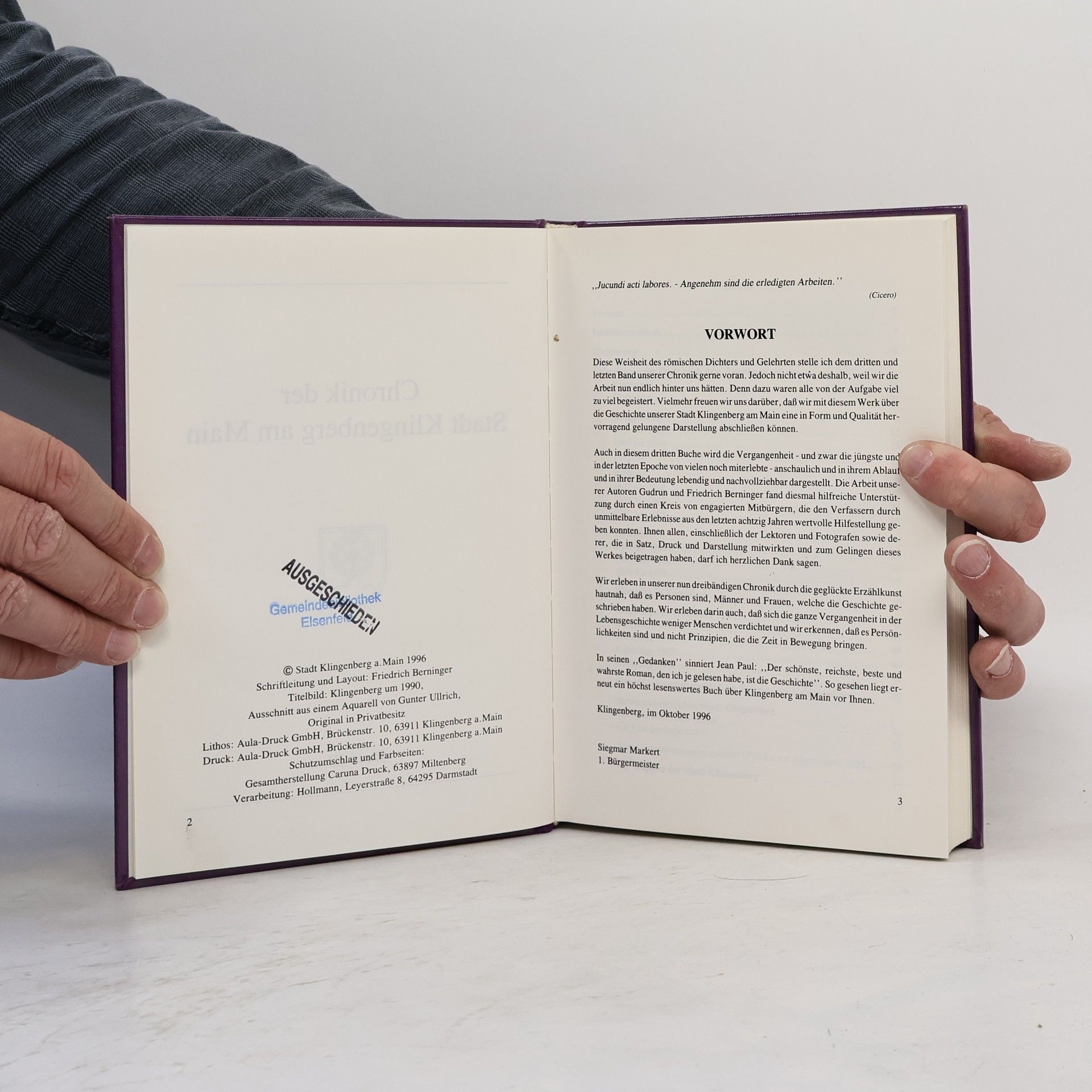 Auteurscollectief Chronik der Stadt Klingenberg am Main III.