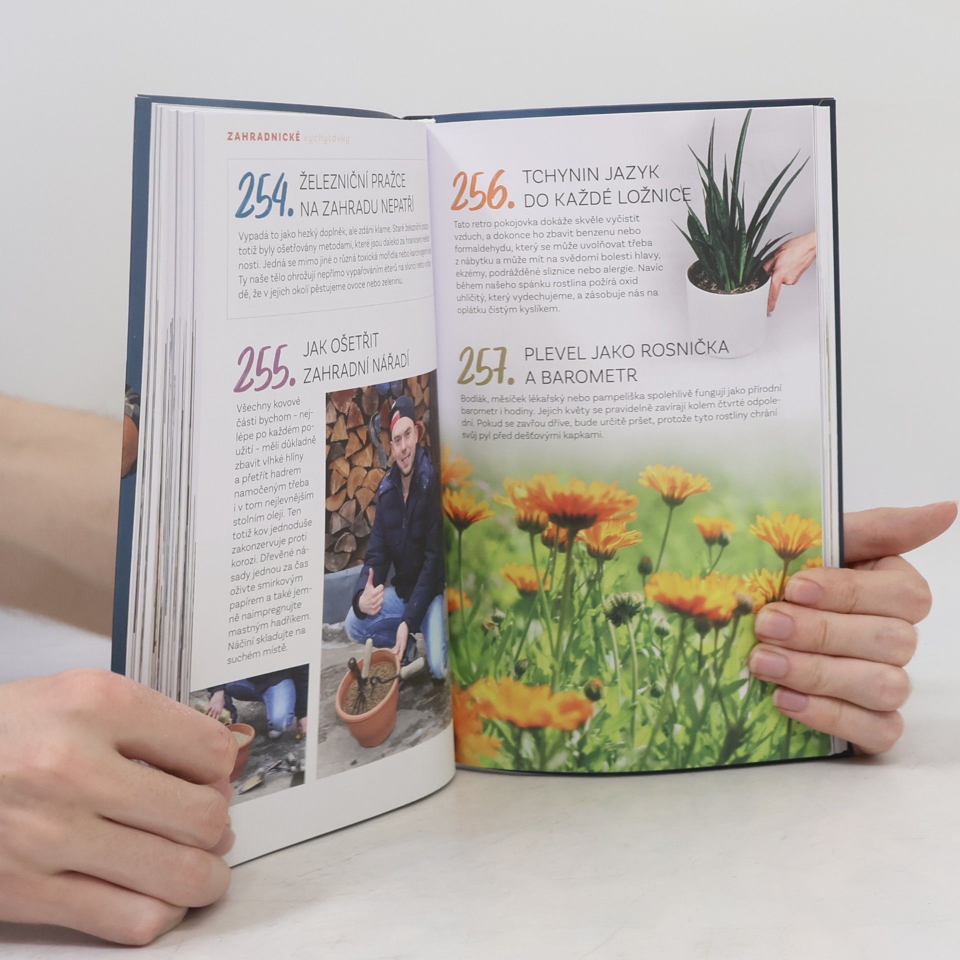 Láďa Hruška Bible vychytávek do každé domácnosti