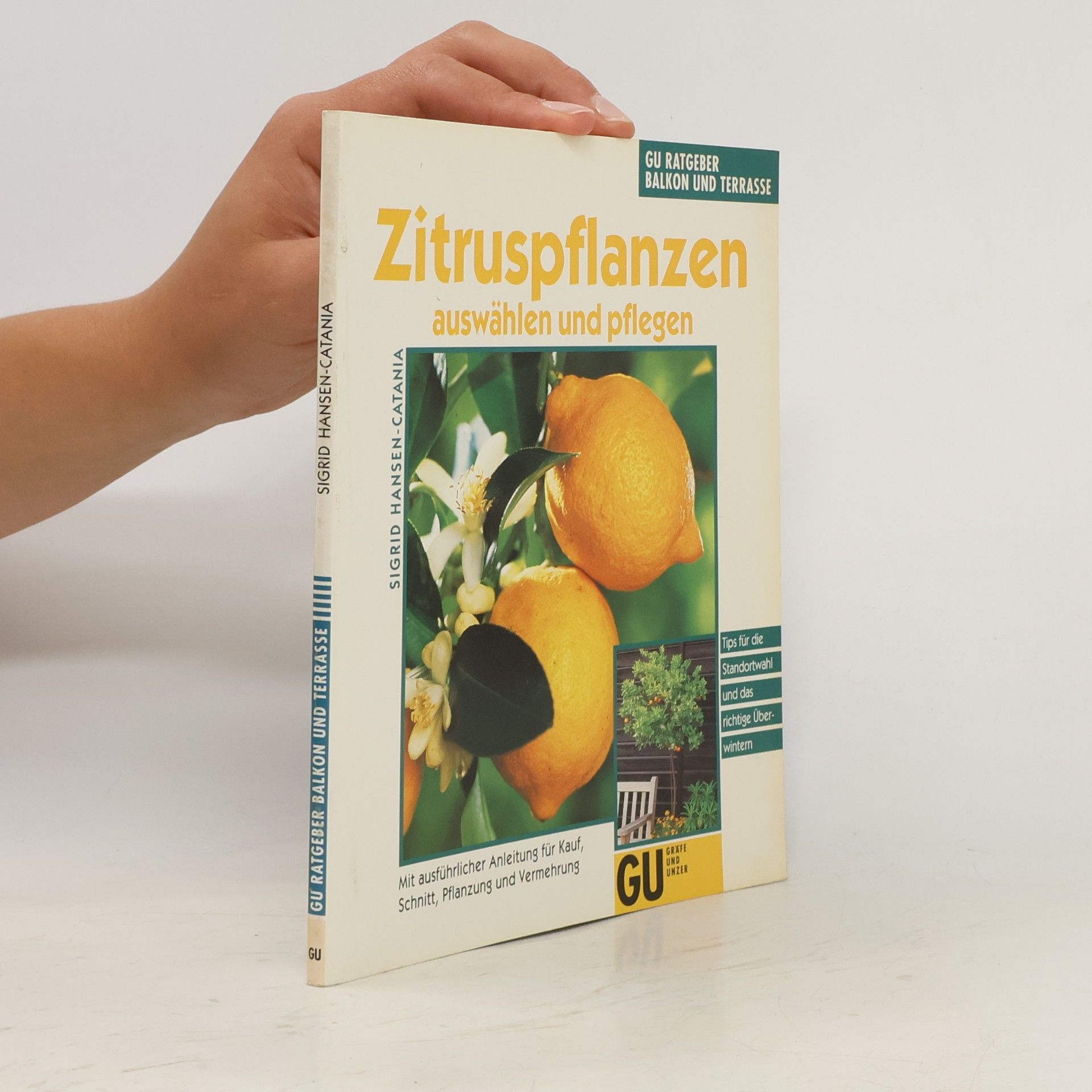 Sigrid Hansen-Catania Zitruspflanzen auswählen und pflegen