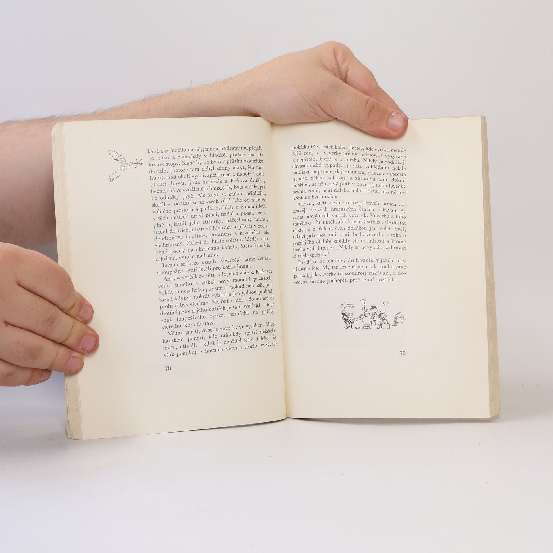 Ernest Thompson Seton Z lesního království