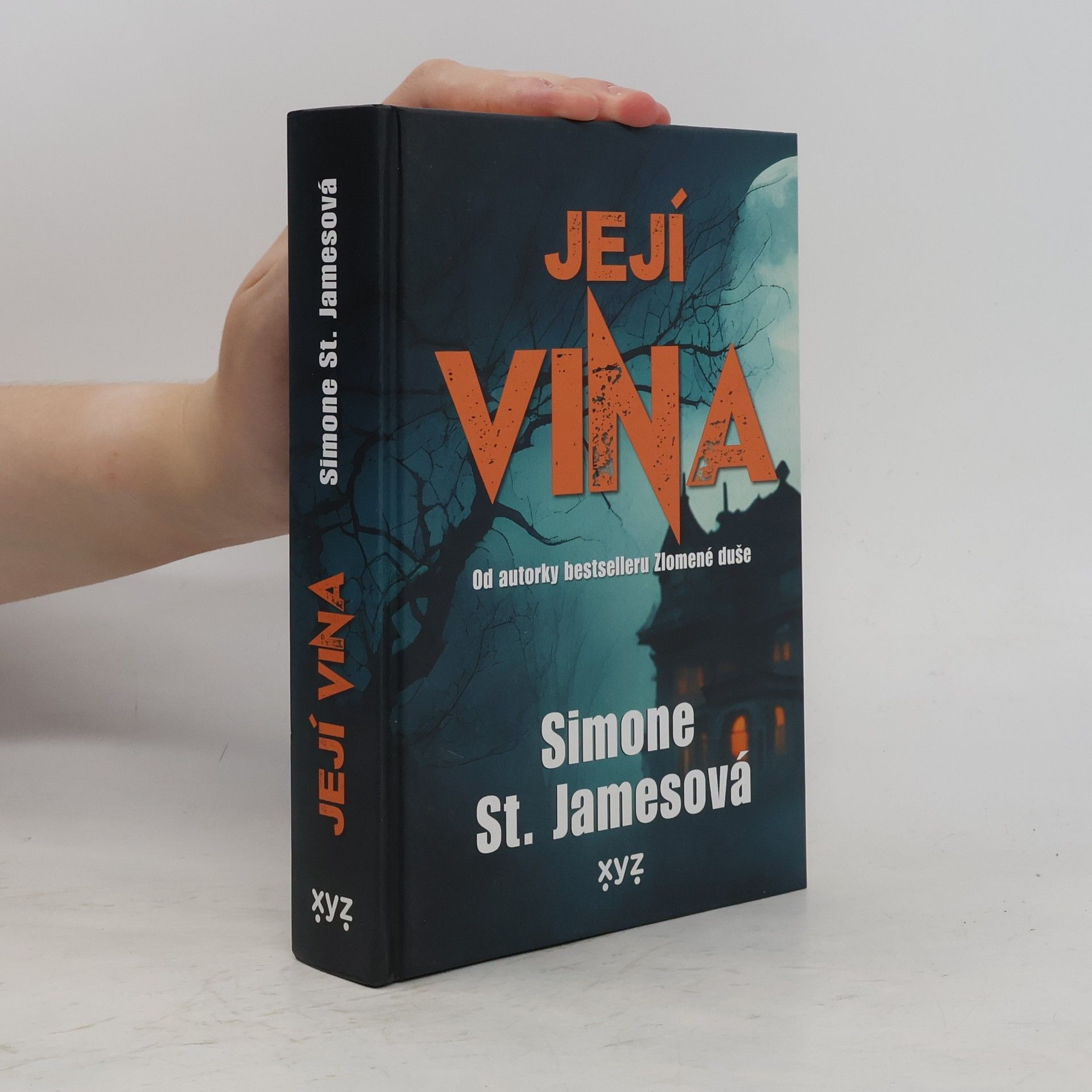 Simone St. James Její vina