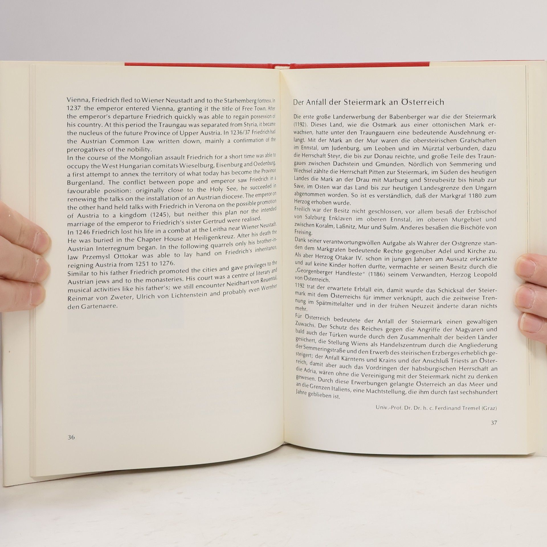 Autorenkollektiv Die Babenberger und was von ihnen blieb