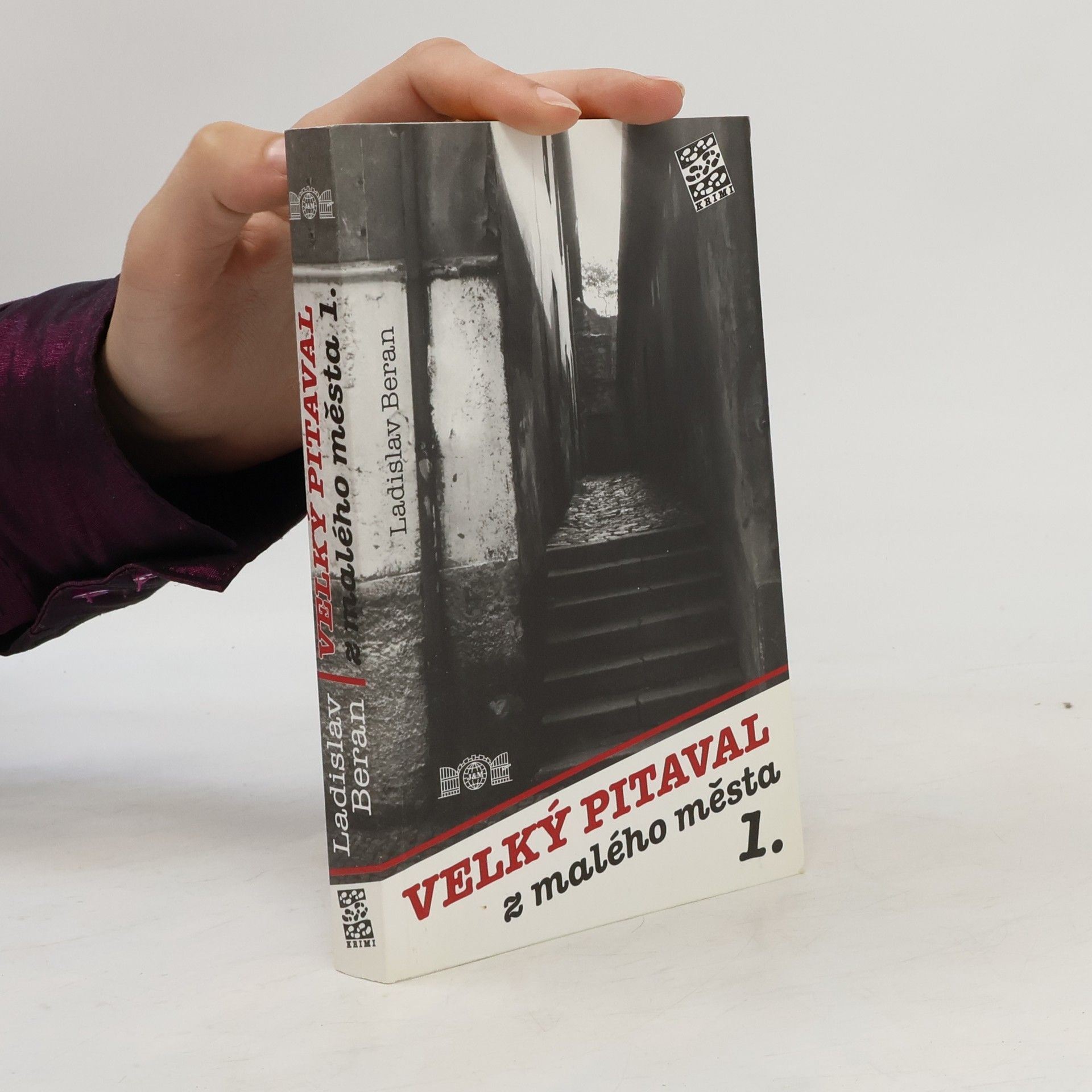 Ladislav Beran Velký pitaval z malého města 1.