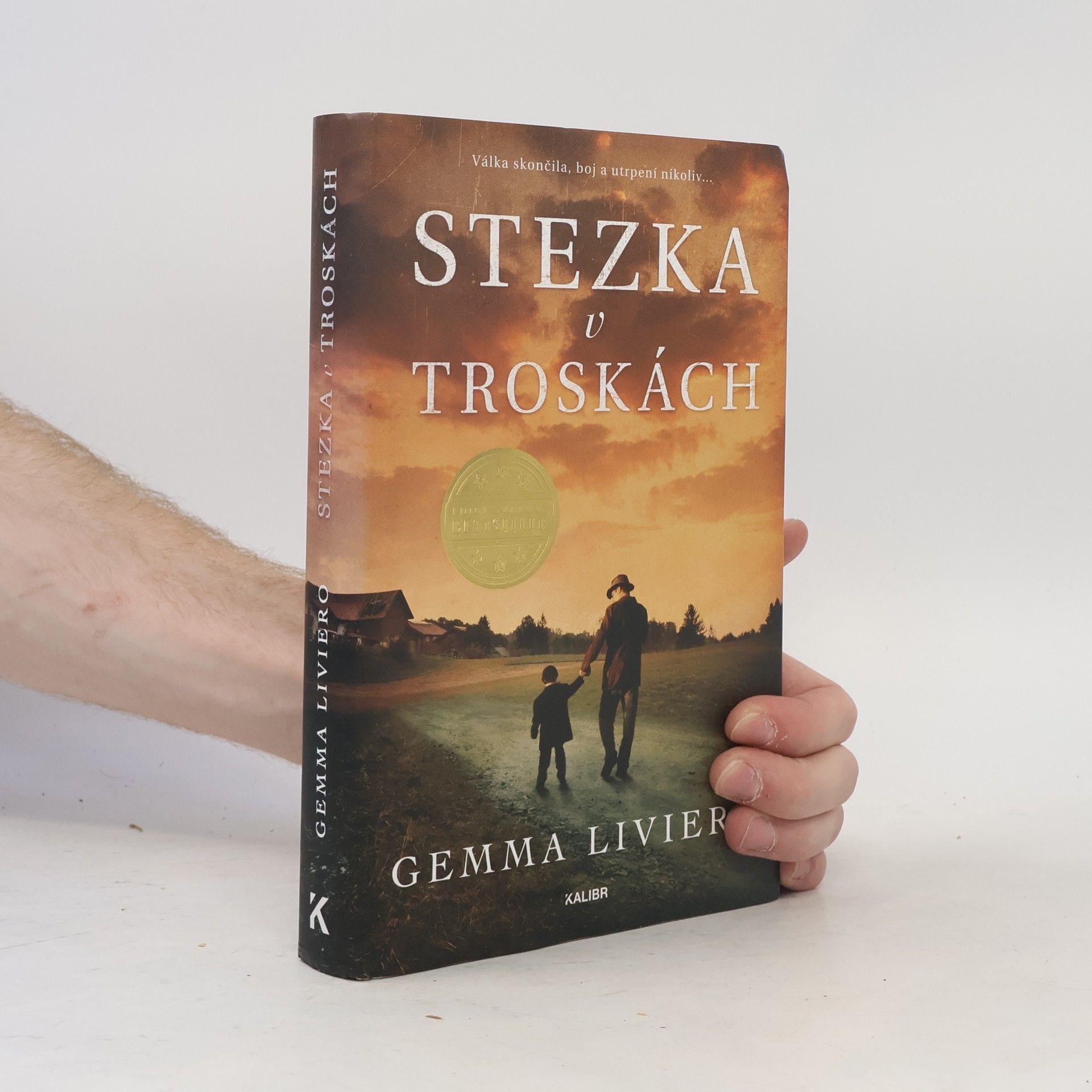 Gemma Liviero Stezka v troskách