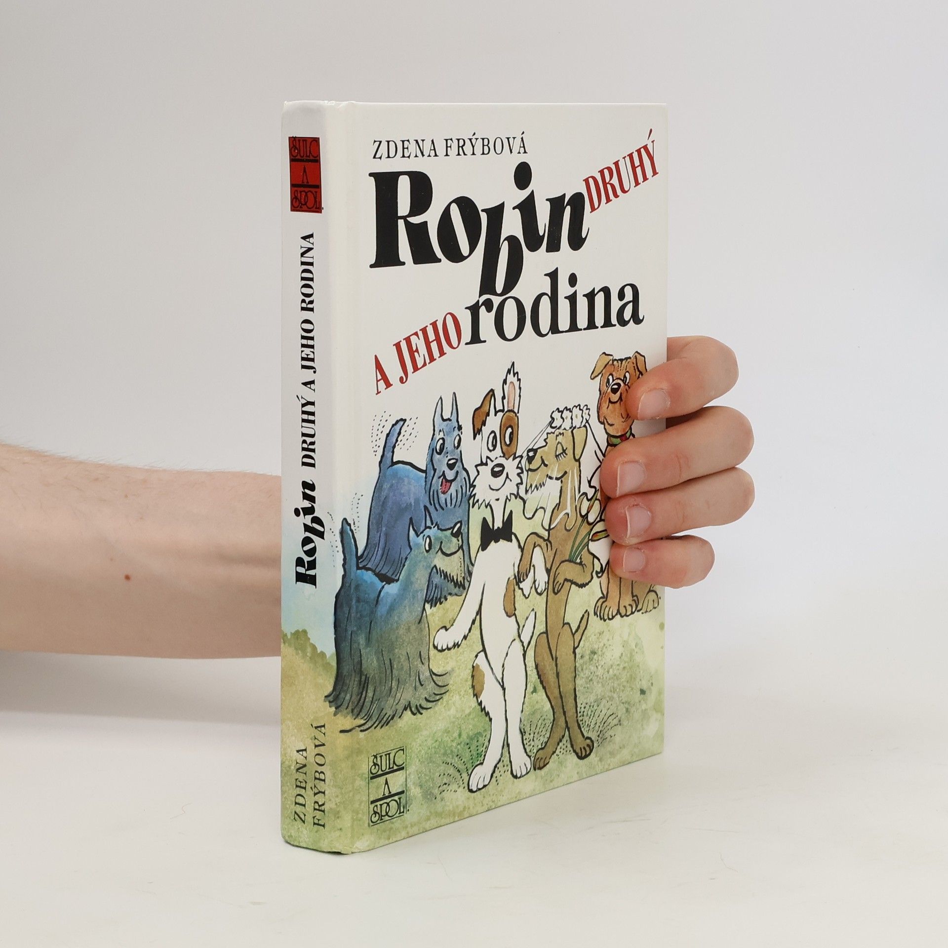 Zdena Frýbová Robin Druhý a jeho rodina