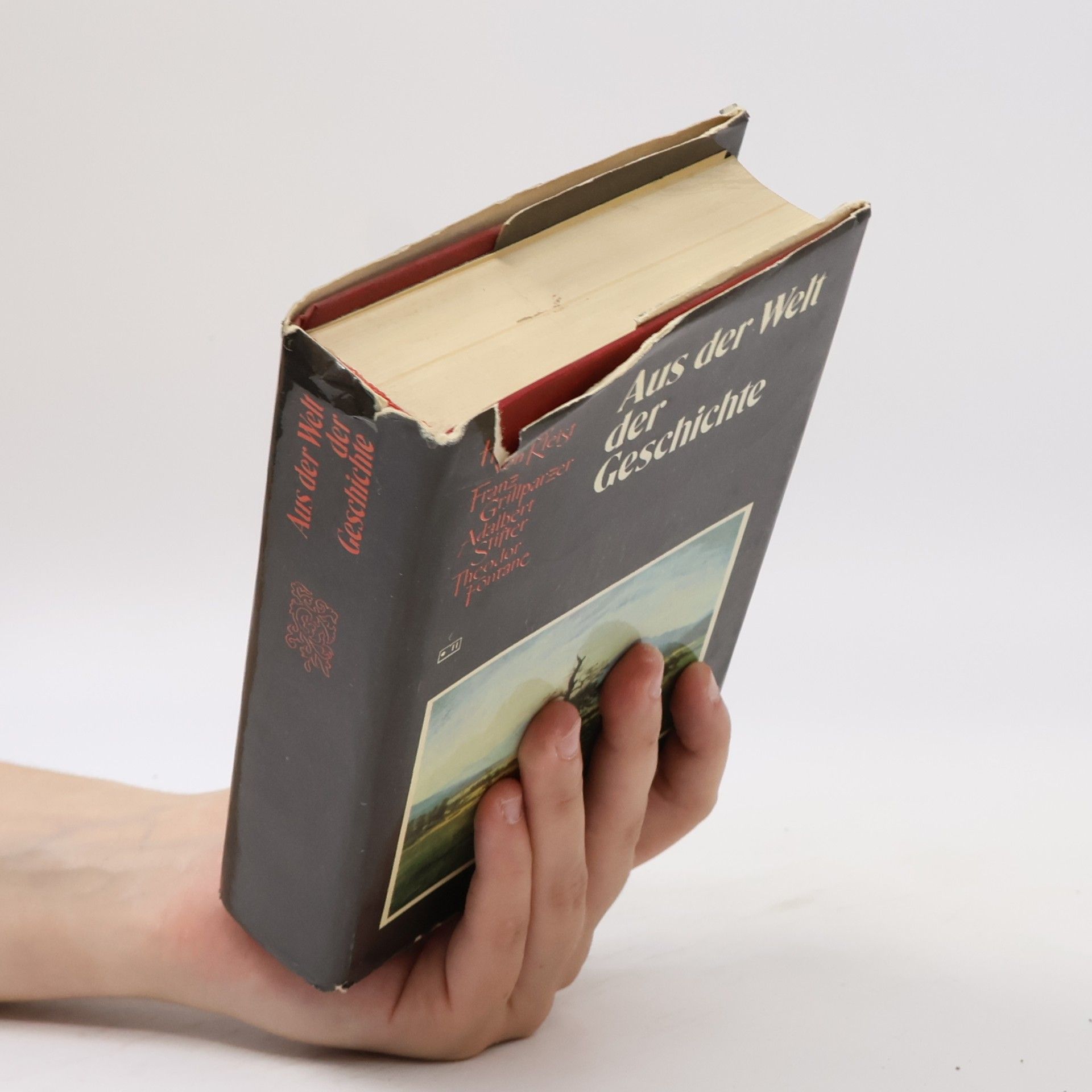Heinrich von Kleist Aus der Welt der Geschichte