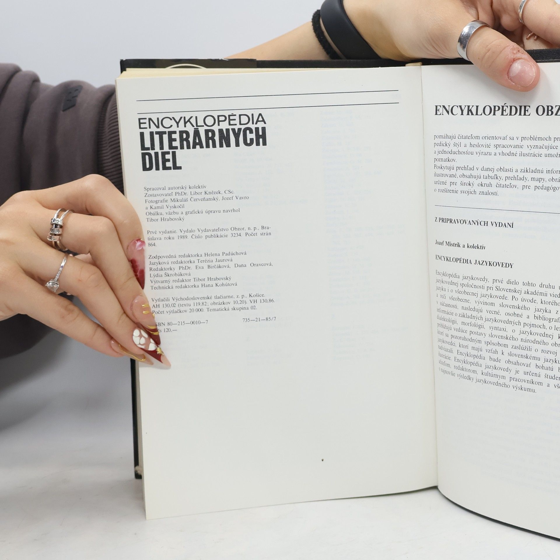 Autorenkollektiv Encyklopédia literárnych diel