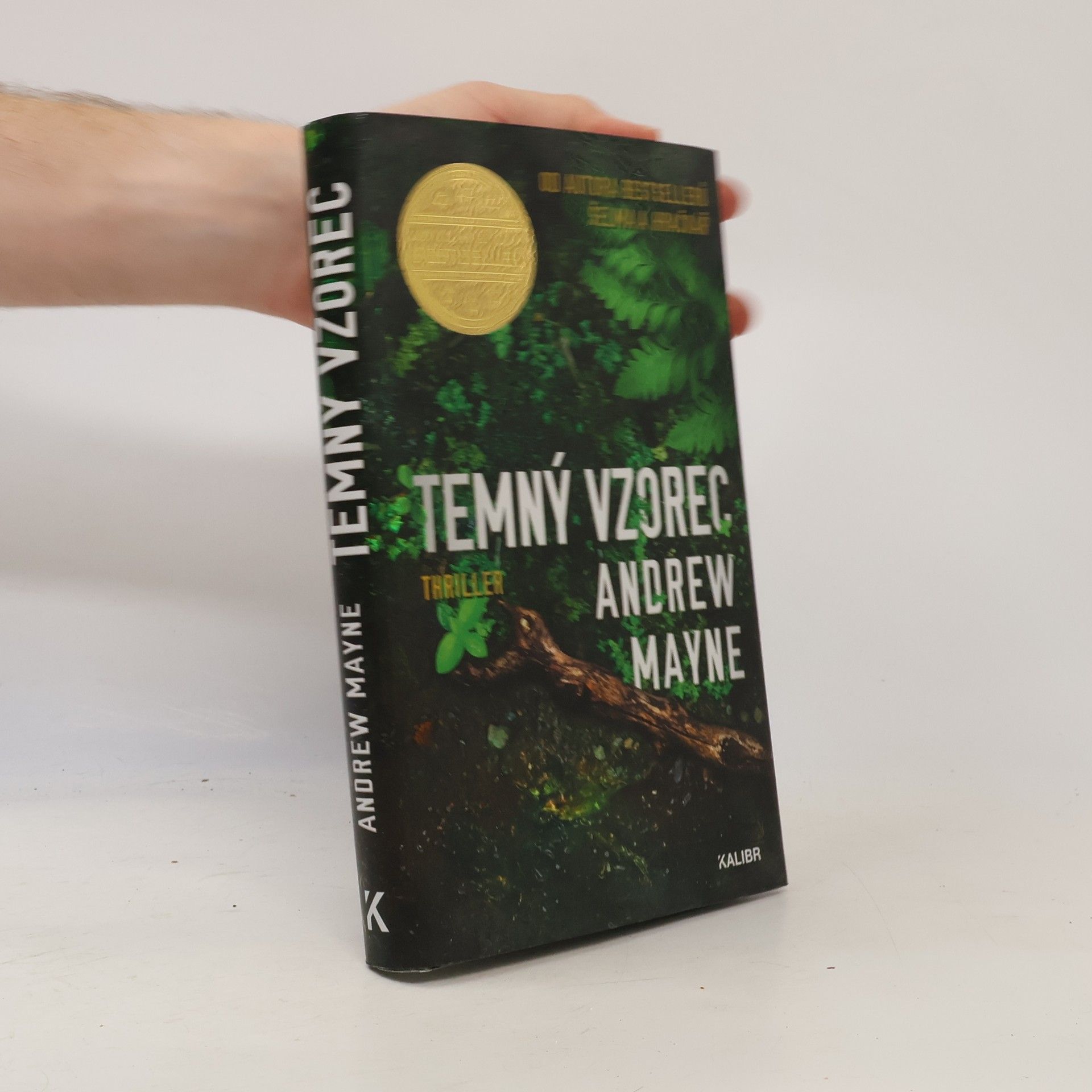 Andrew Mayne Temný vzorec