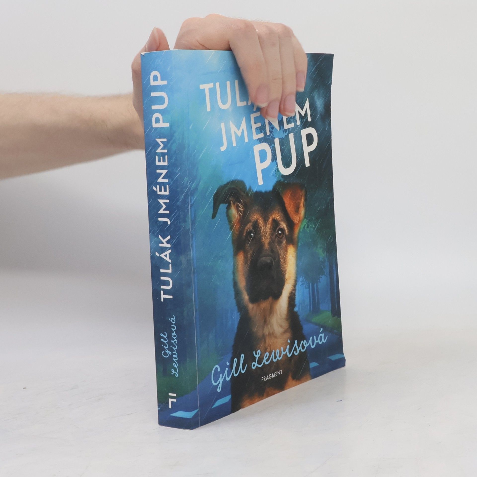 Tulák jménem Pup