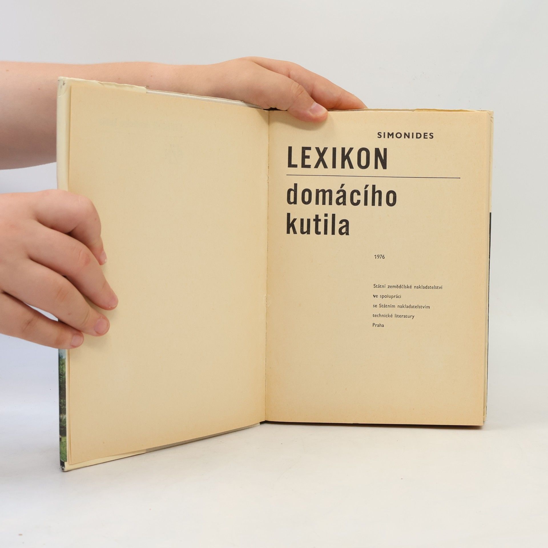 Jan Simonides Lexikon domácího kutila