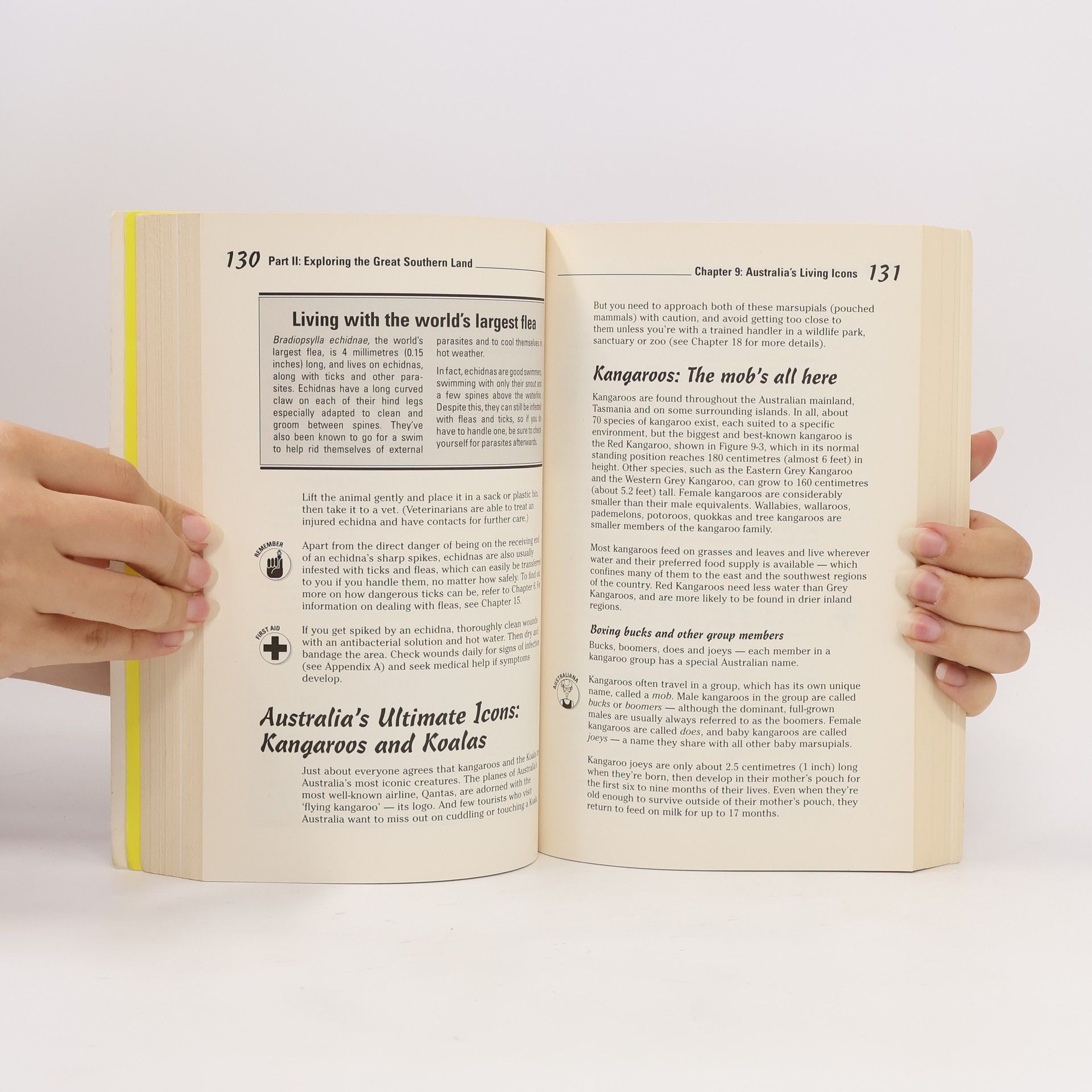 James Halliday Australia's Dangerous Creatures For Dummies