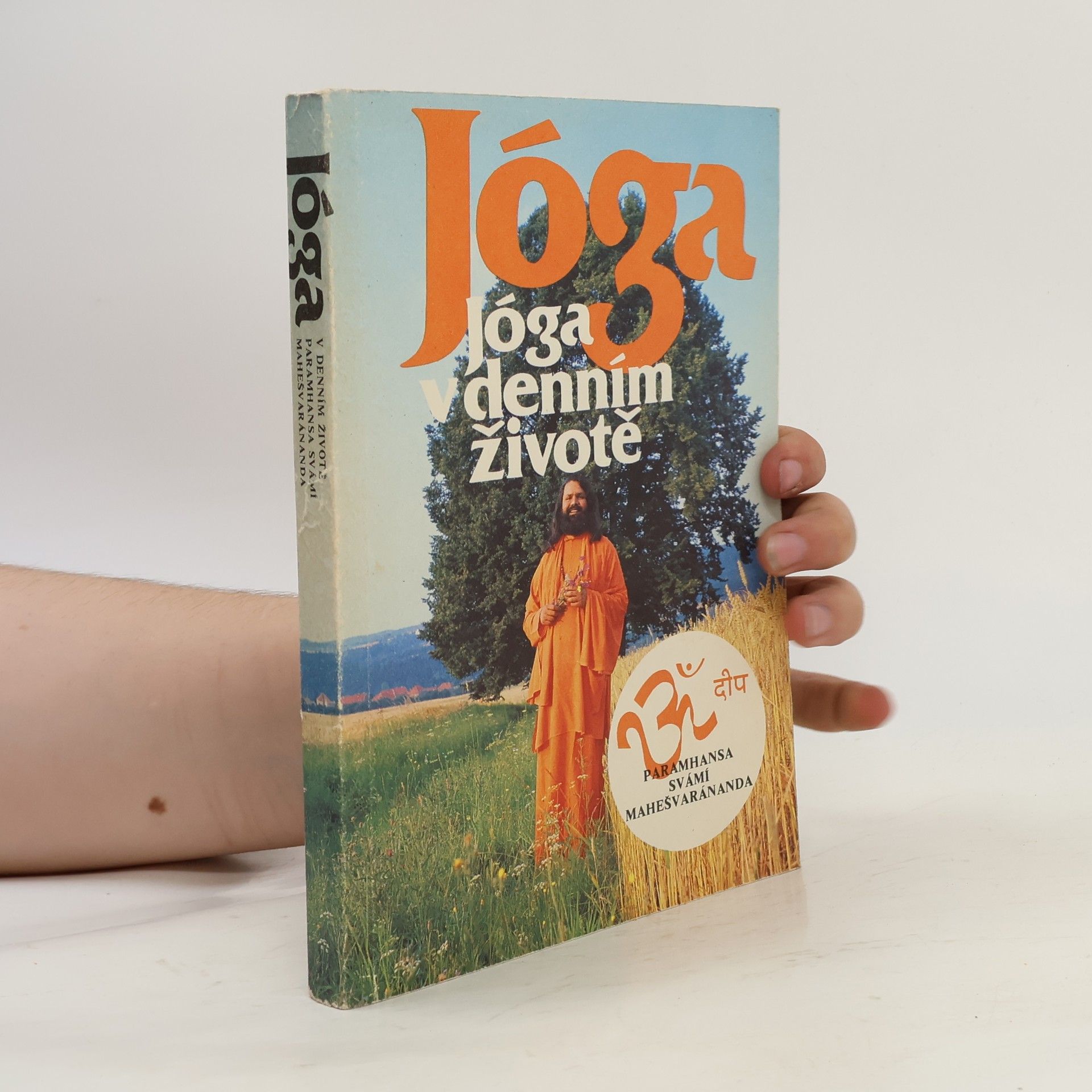 Swami Maheshwarananda Jóga v denním životě