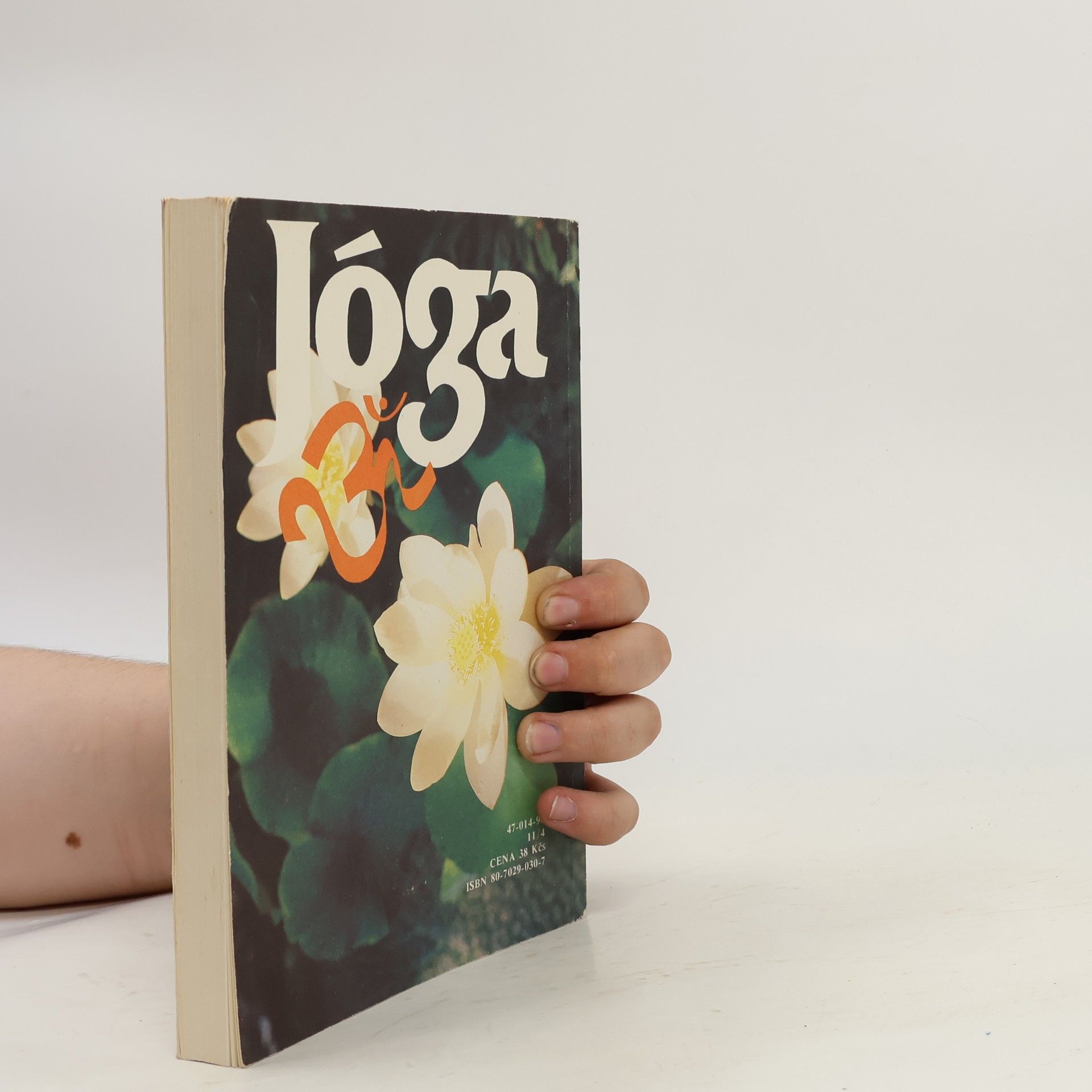 Swami Maheshwarananda Jóga v denním životě