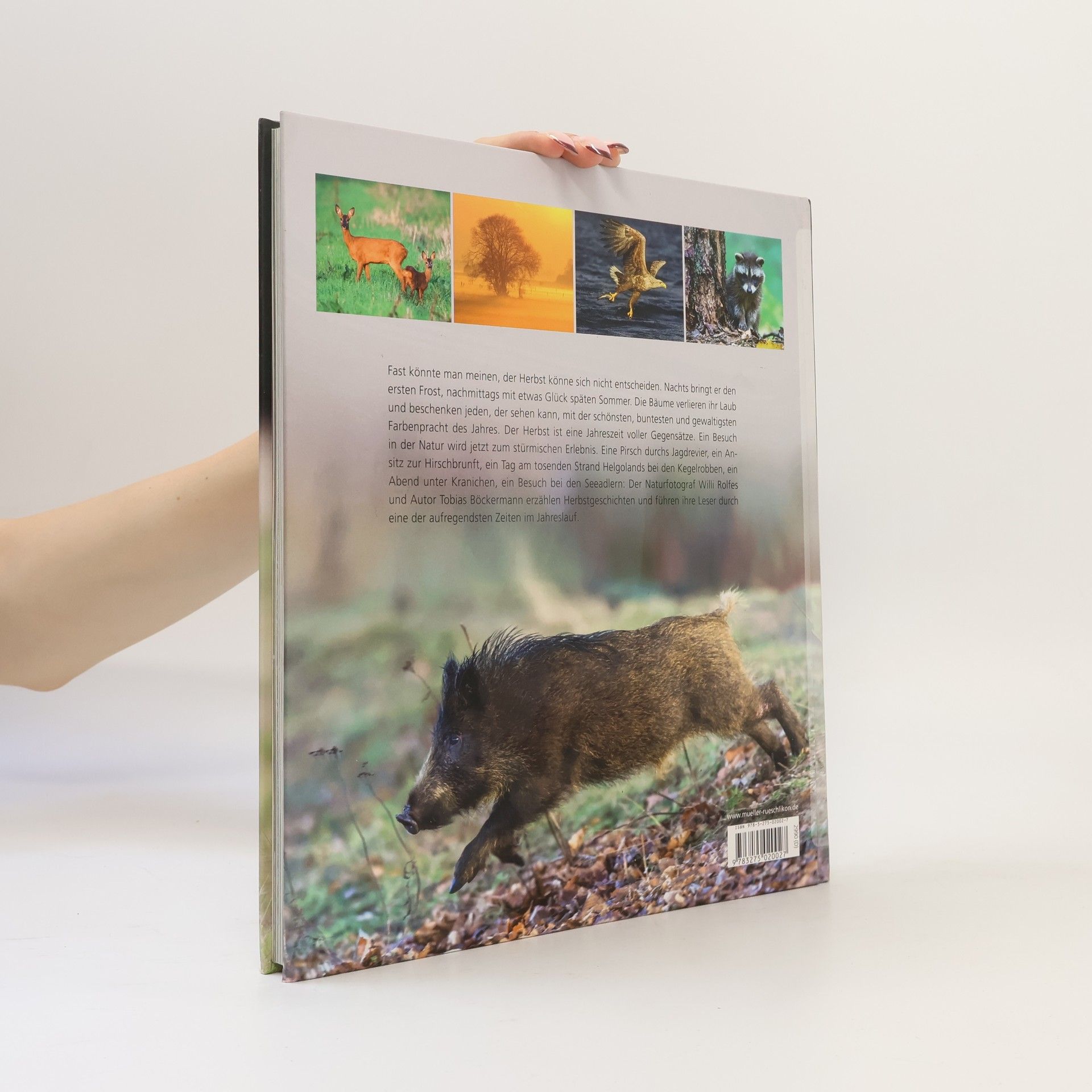 Willi Rolfes Natur-Impressionen