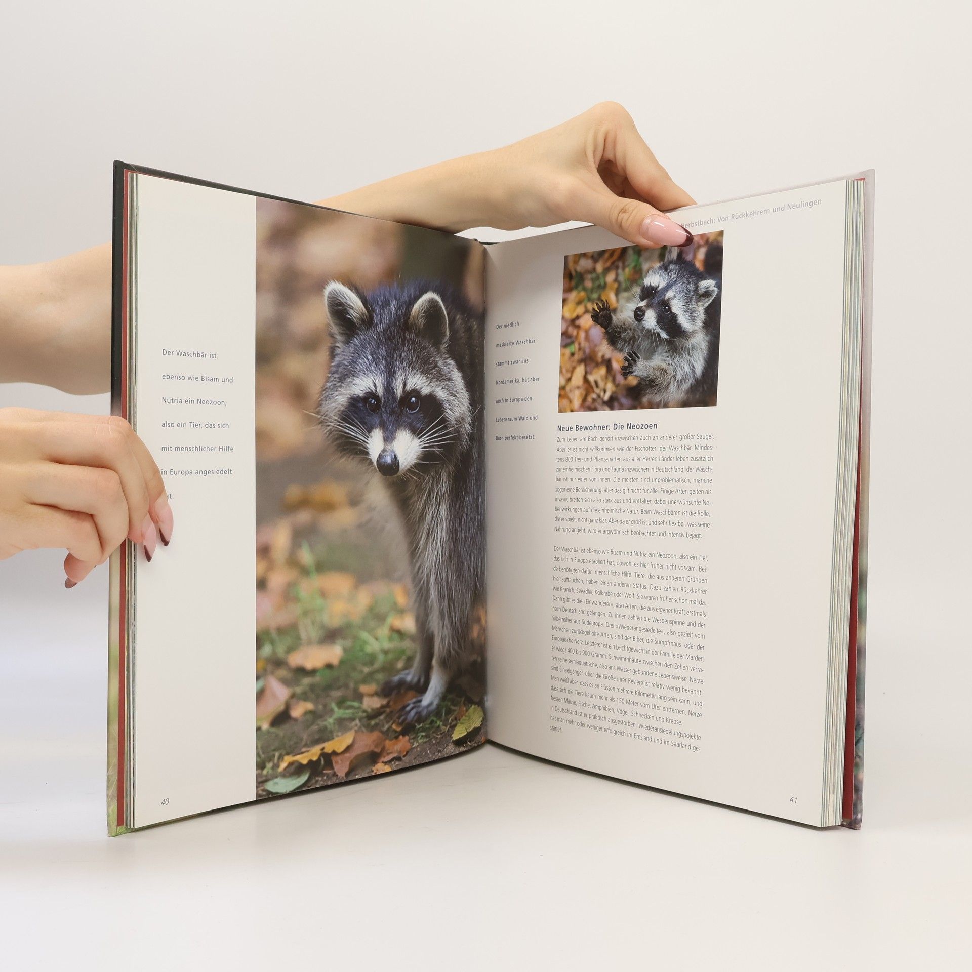 Willi Rolfes Natur-Impressionen
